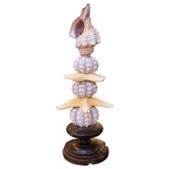 Sculpture avec assemblage en forme de coquillages et base en laiton antique