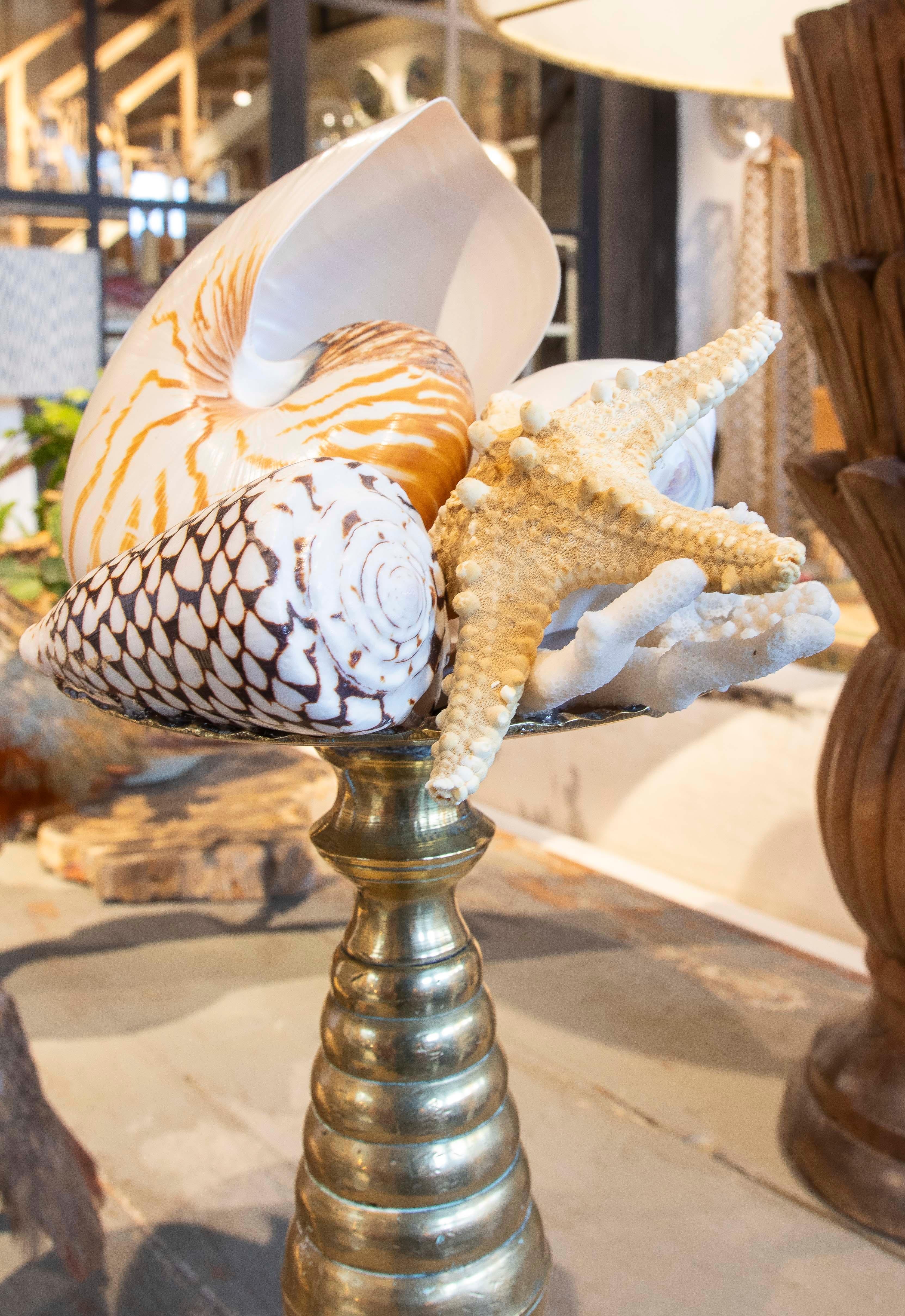 Sculpture with Seashell Assemblage and Antique Candelabrum Base For Sale 5