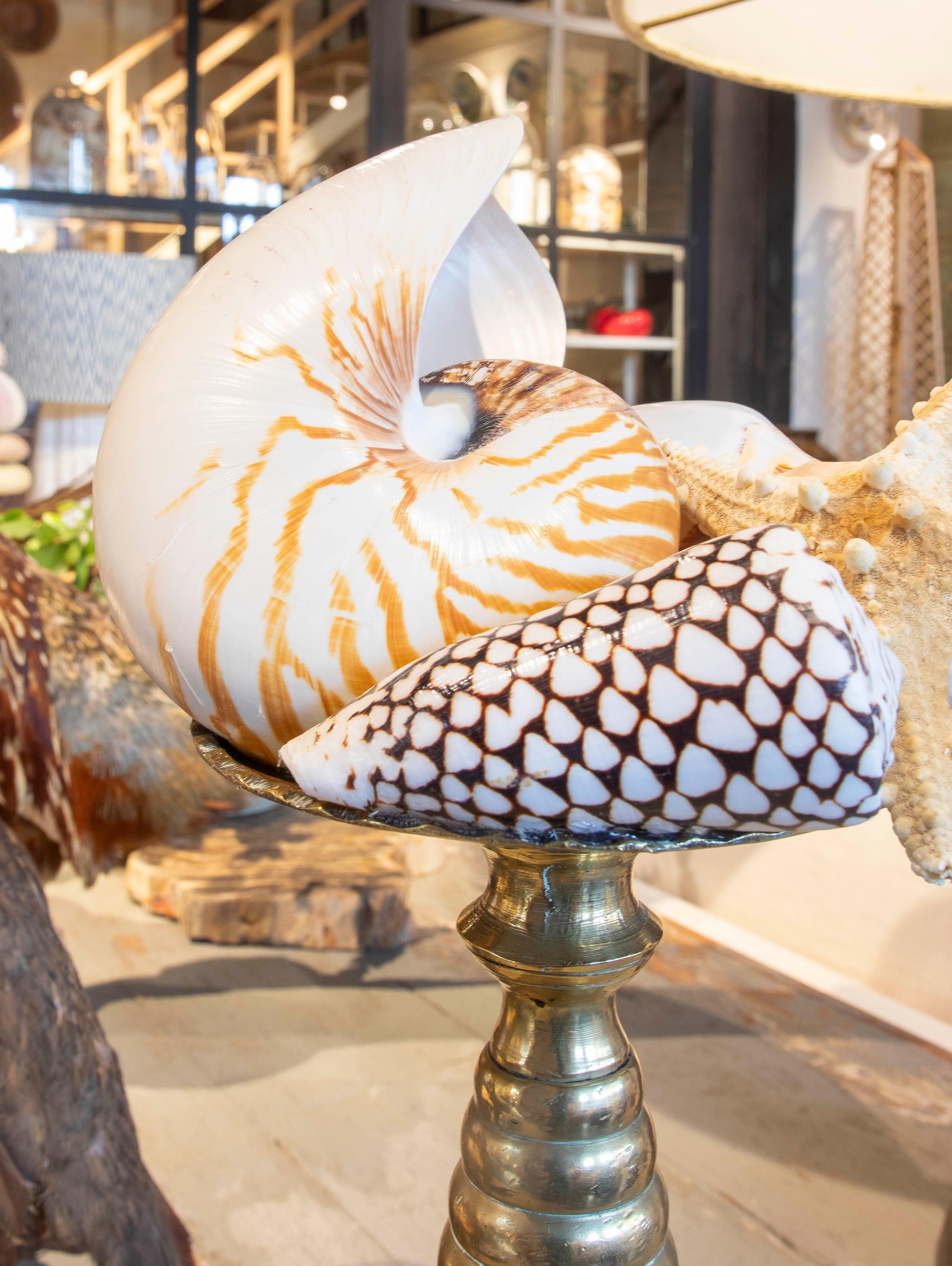 Sculpture with Seashell Assemblage and Antique Candelabrum Base For Sale 6