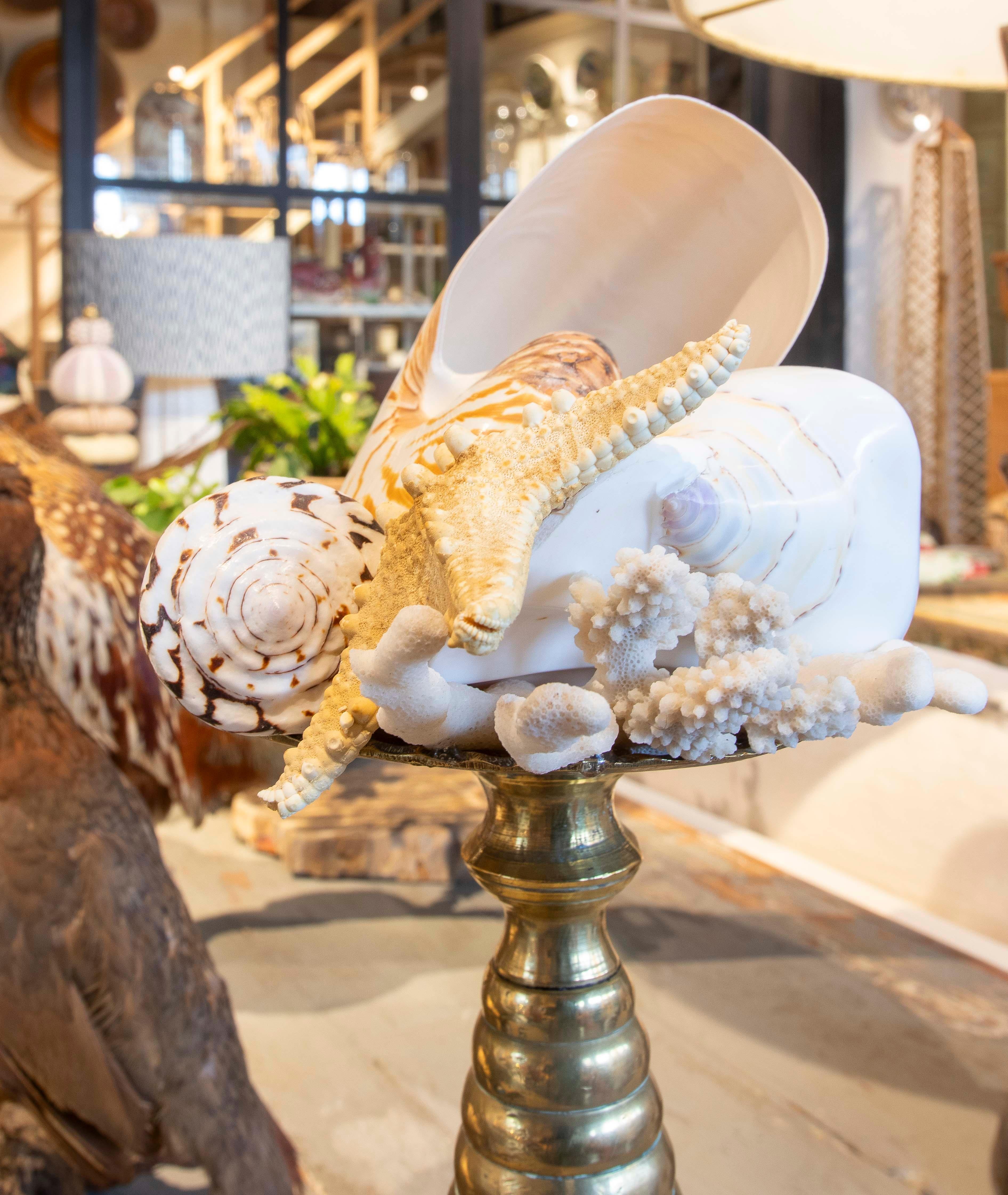 Sculpture with Seashell Assemblage and Antique Candelabrum Base For Sale 7