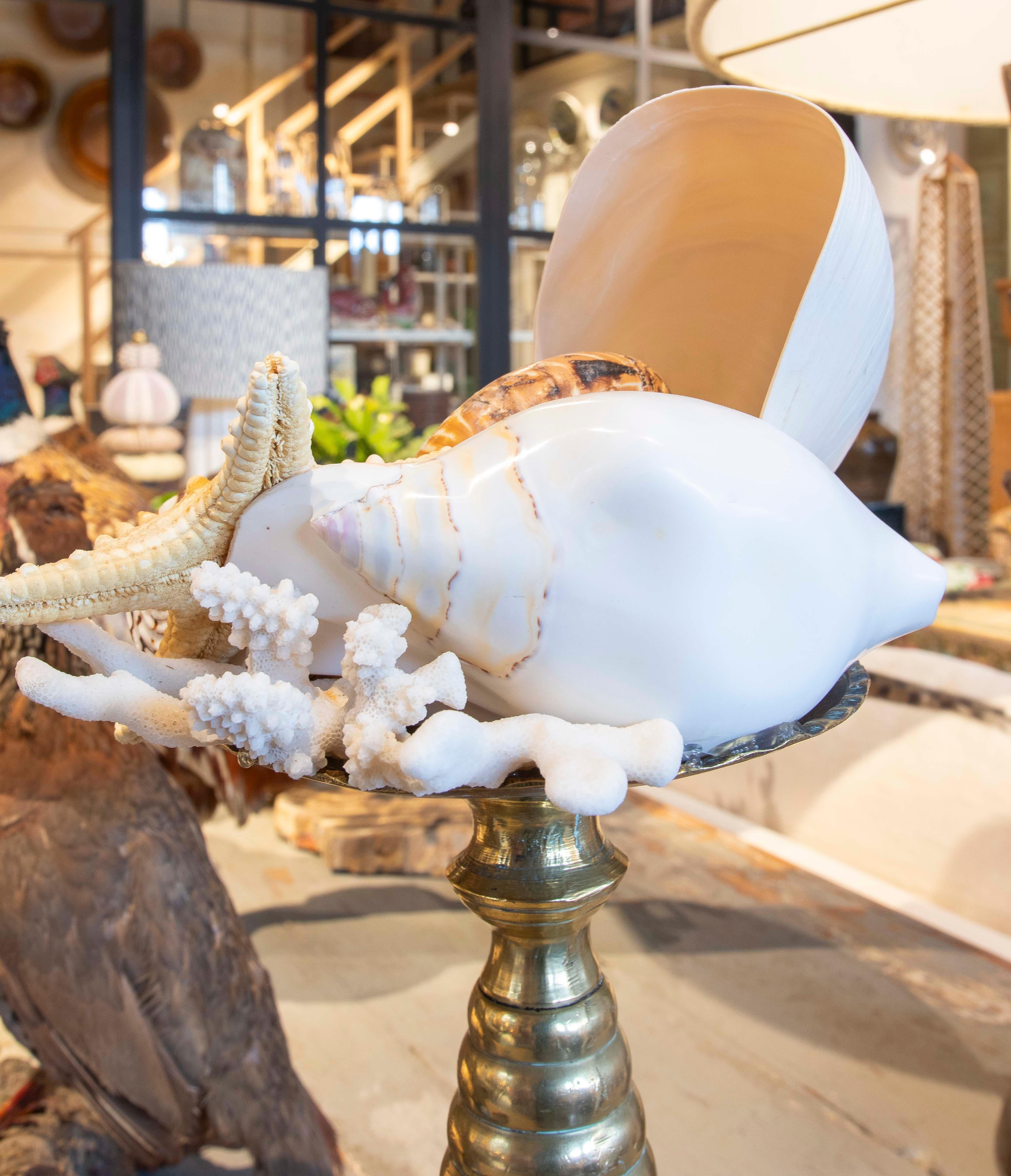 Sculpture with Seashell Assemblage and Antique Candelabrum Base For Sale 8