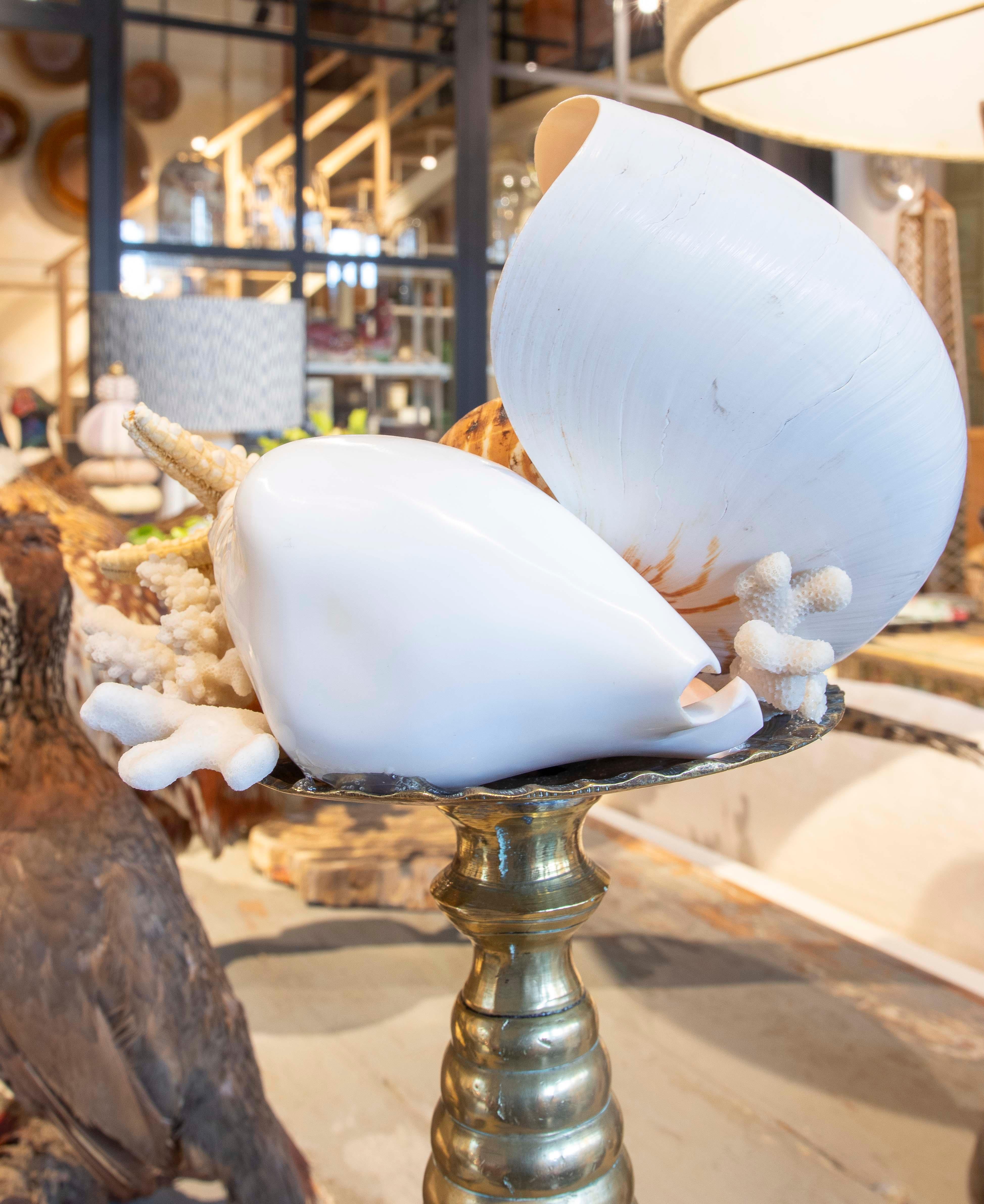 Sculpture with Seashell Assemblage and Antique Candelabrum Base For Sale 9