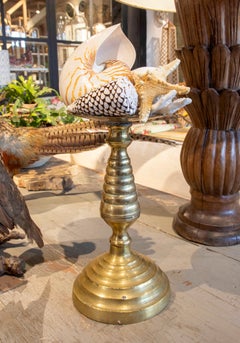 Sculpture with Seashell Assemblage and Antique Candelabrum Base
