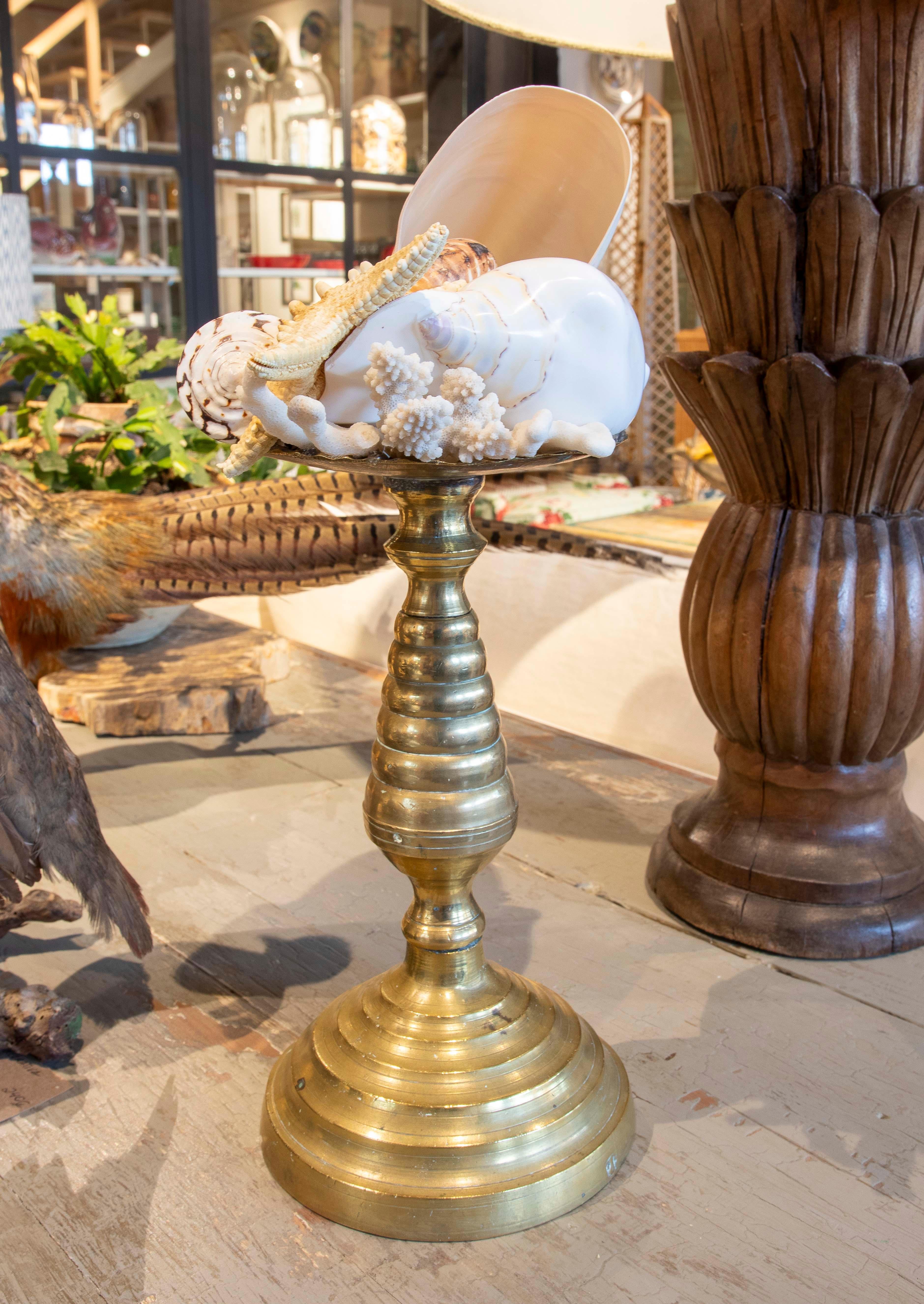 20th Century Sculpture with Seashell Assemblage and Antique Candelabrum Base For Sale
