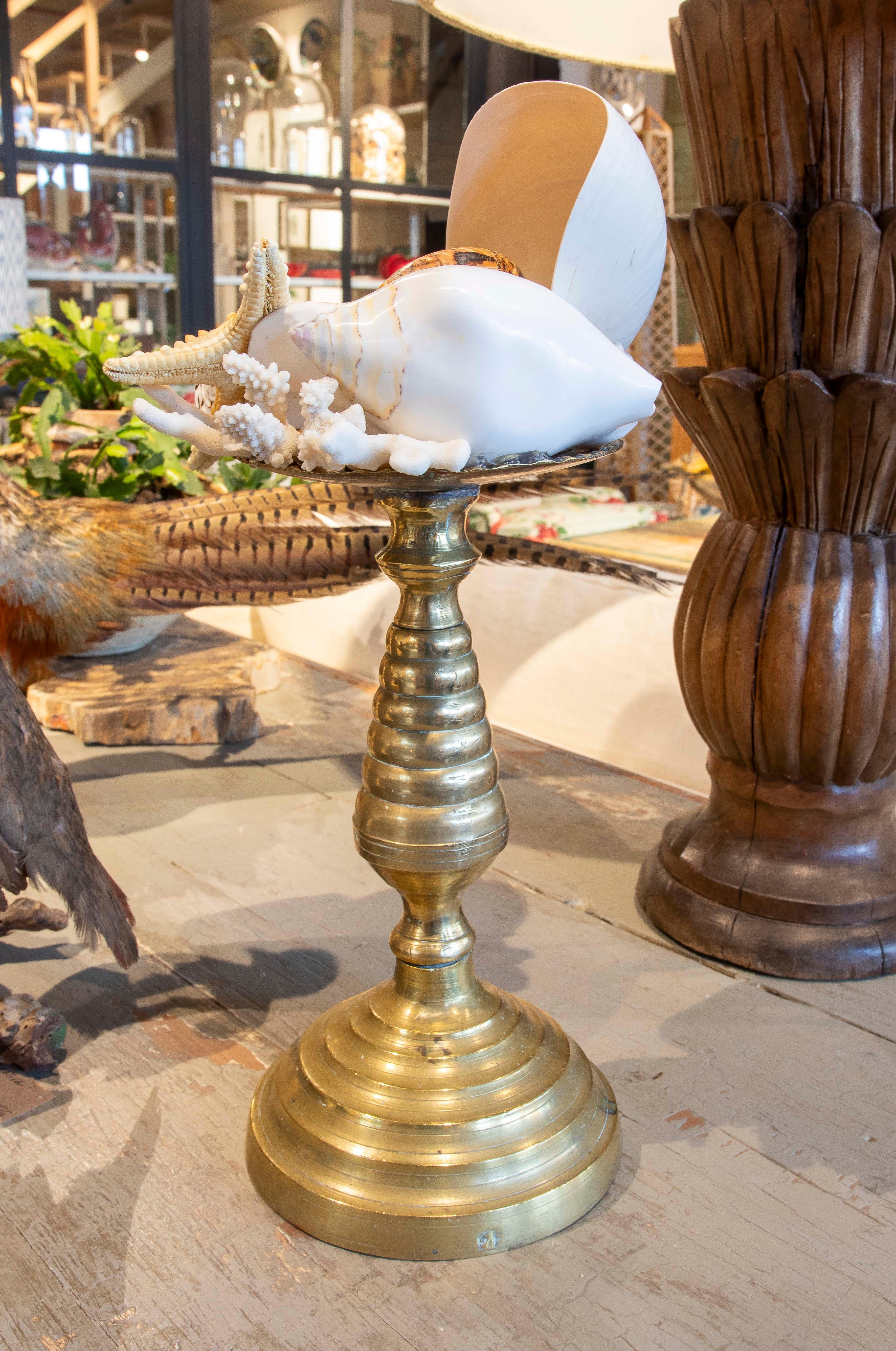 Bronze Sculpture with Seashell Assemblage and Antique Candelabrum Base For Sale