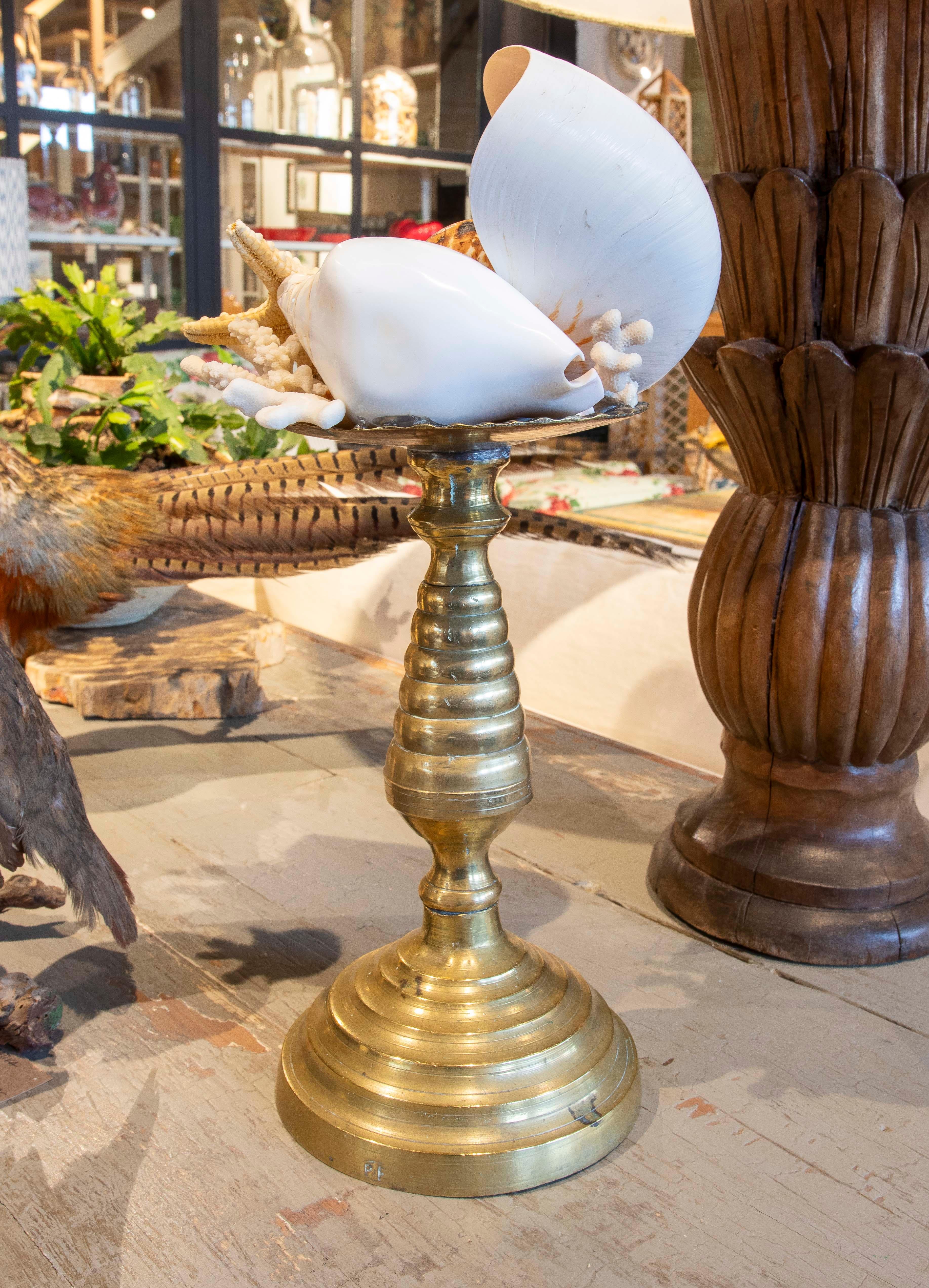 Sculpture with Seashell Assemblage and Antique Candelabrum Base For Sale 1