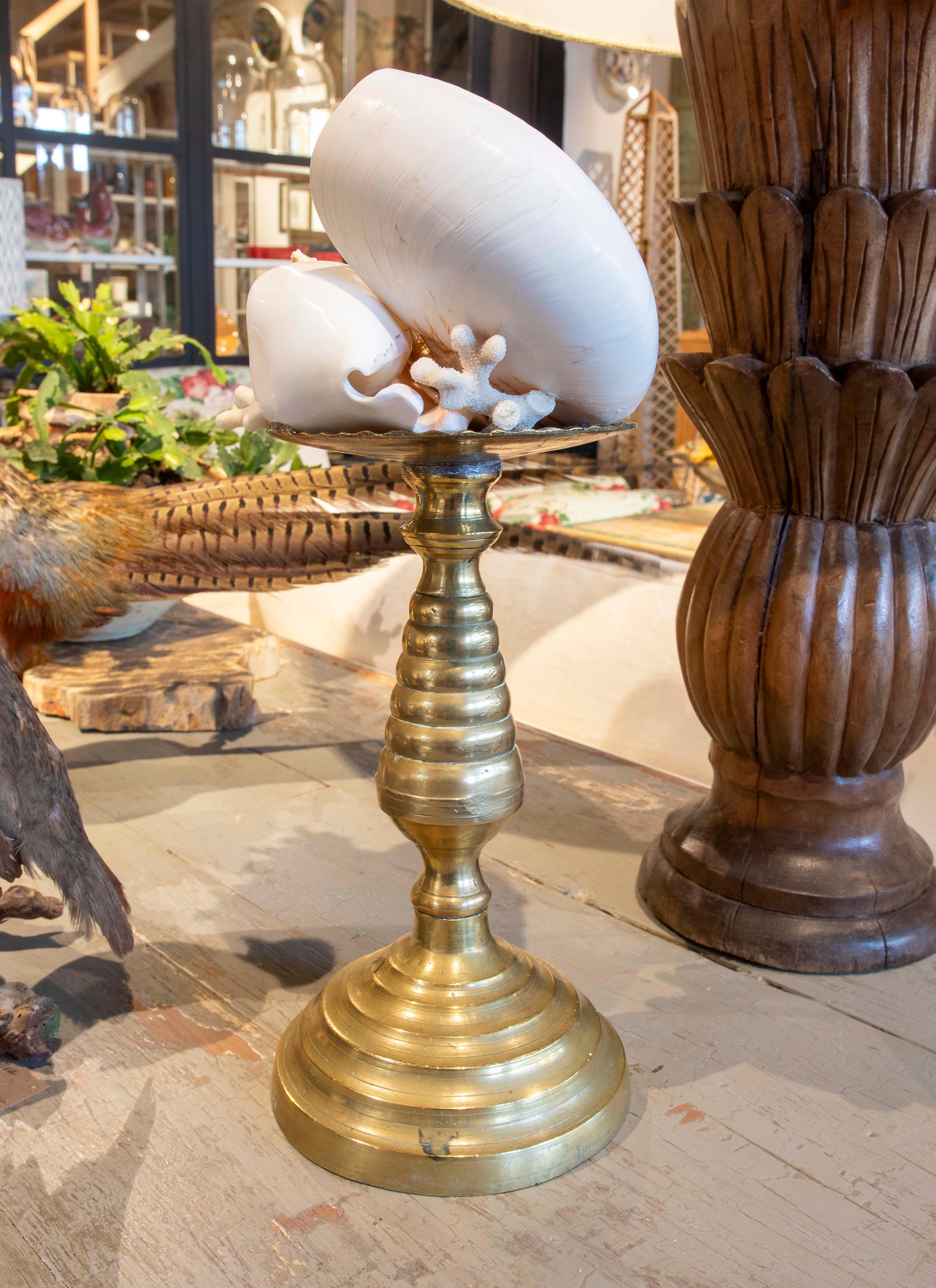Sculpture with Seashell Assemblage and Antique Candelabrum Base For Sale 2