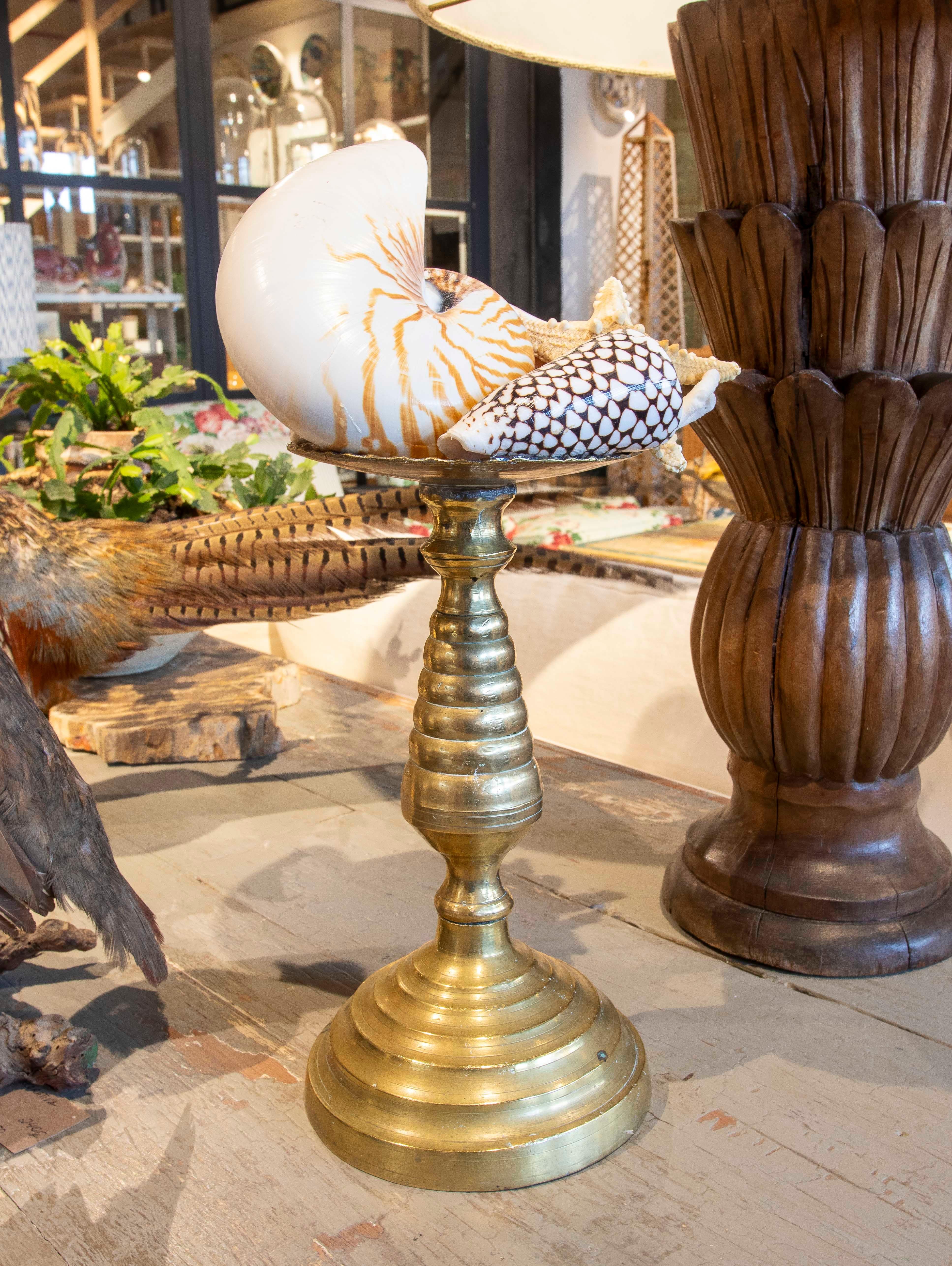 Sculpture with Seashell Assemblage and Antique Candelabrum Base For Sale 3