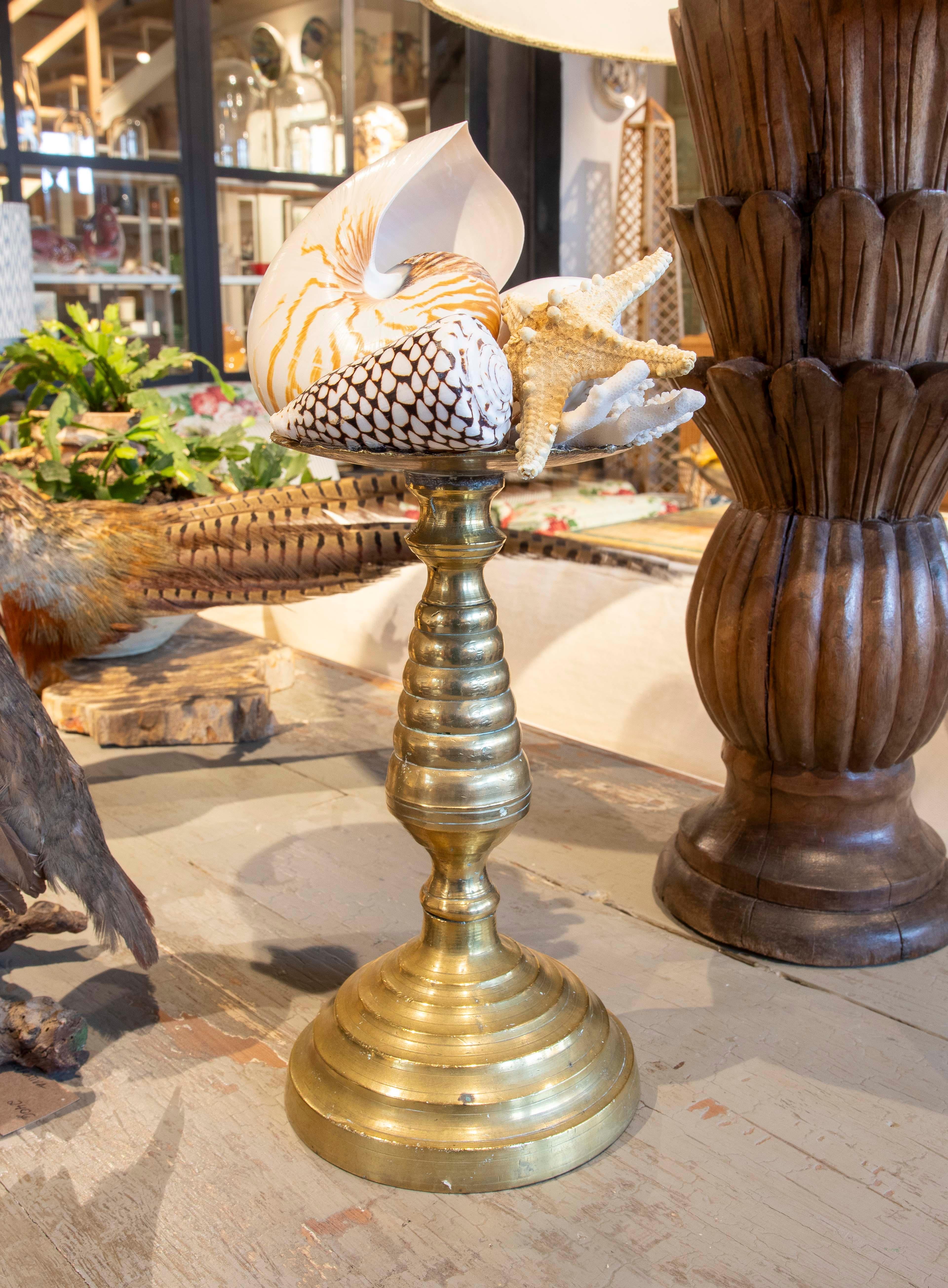 Sculpture with Seashell Assemblage and Antique Candelabrum Base For Sale 4