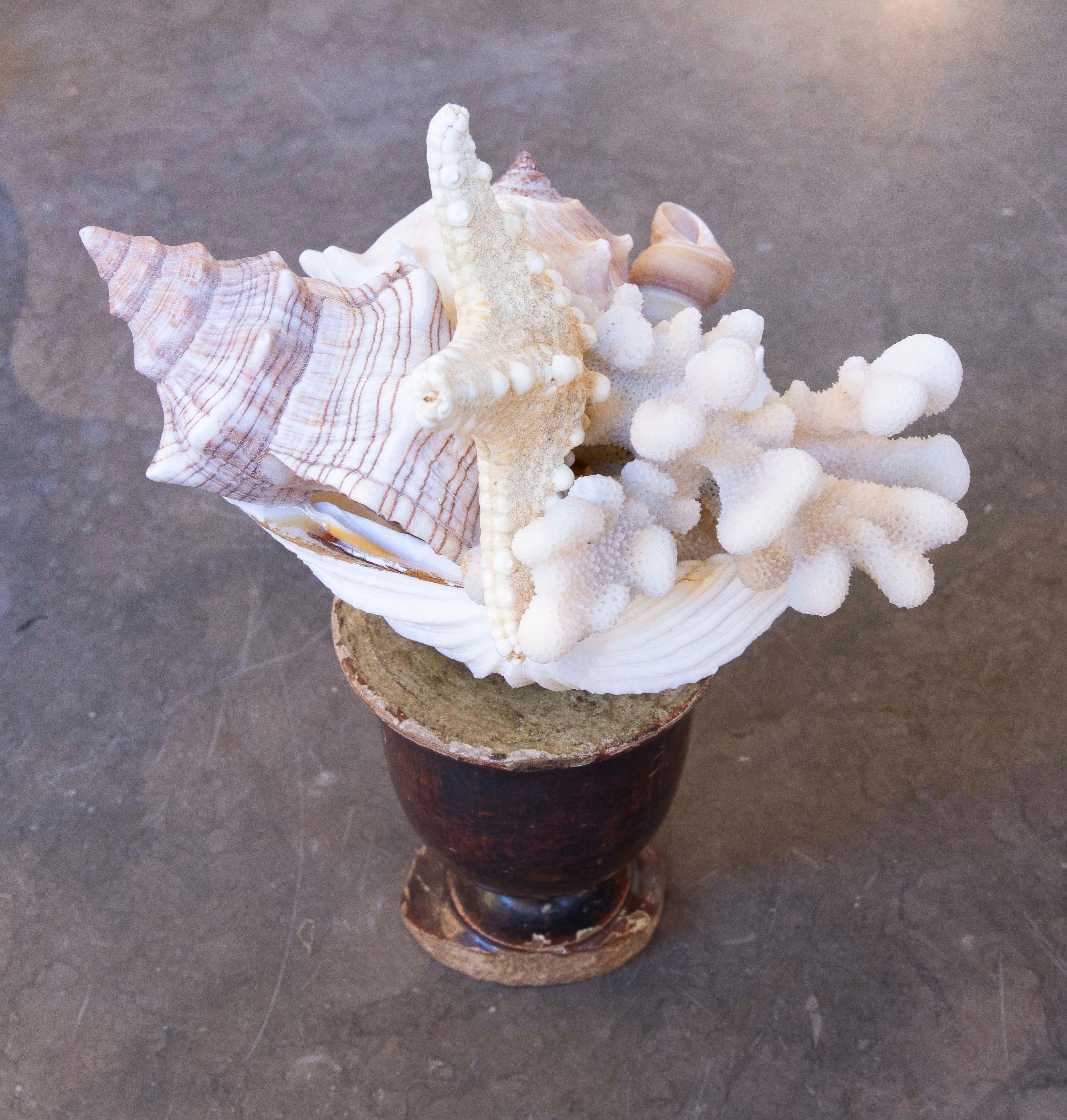 Scultura con assemblaggio di conchiglie e base in legno antico in vendita 5
