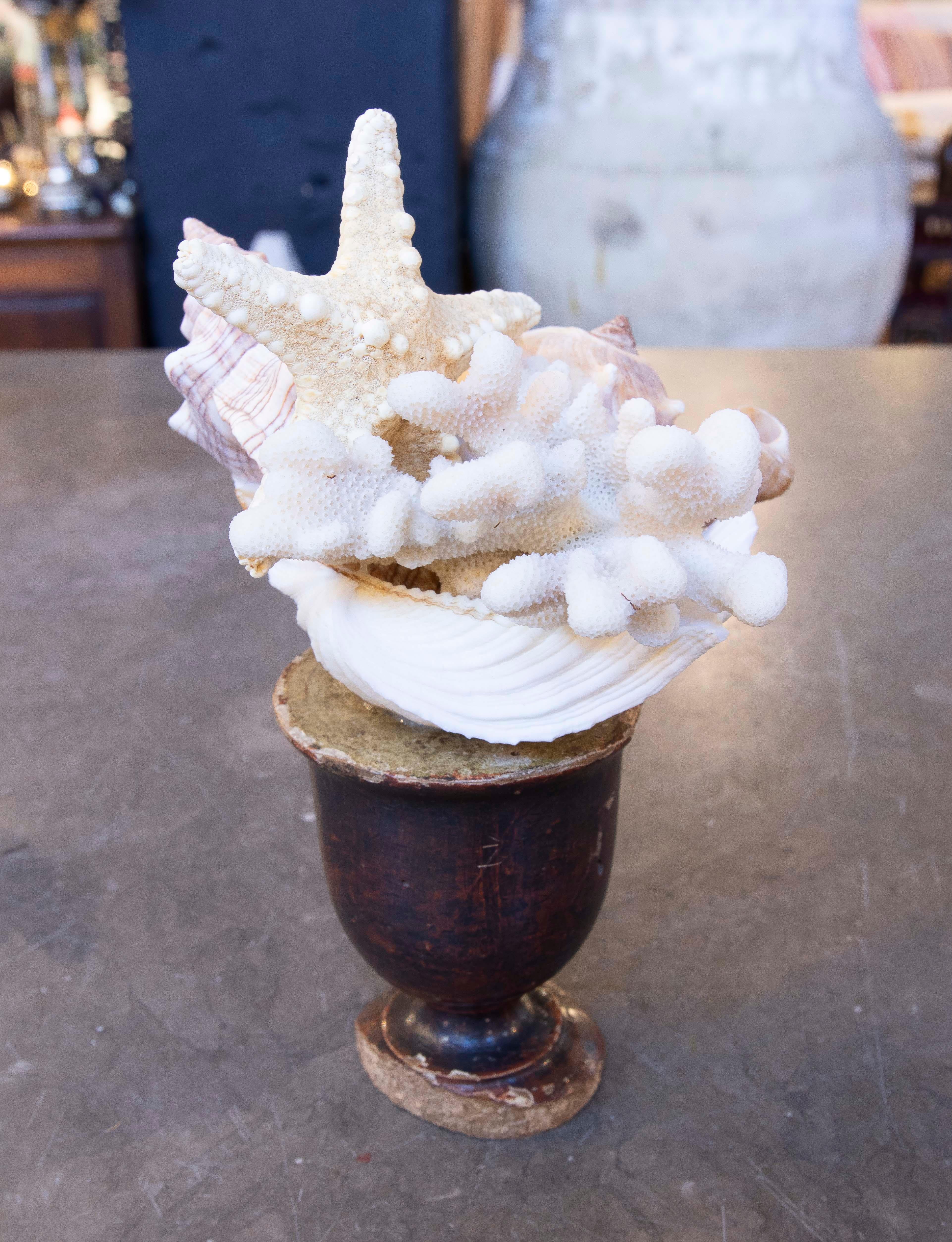 Scultura con assemblaggio di conchiglie e base in legno antico in vendita 9