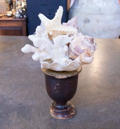 Sculpture avec assemblage en forme de coquillages et base en bois ancien