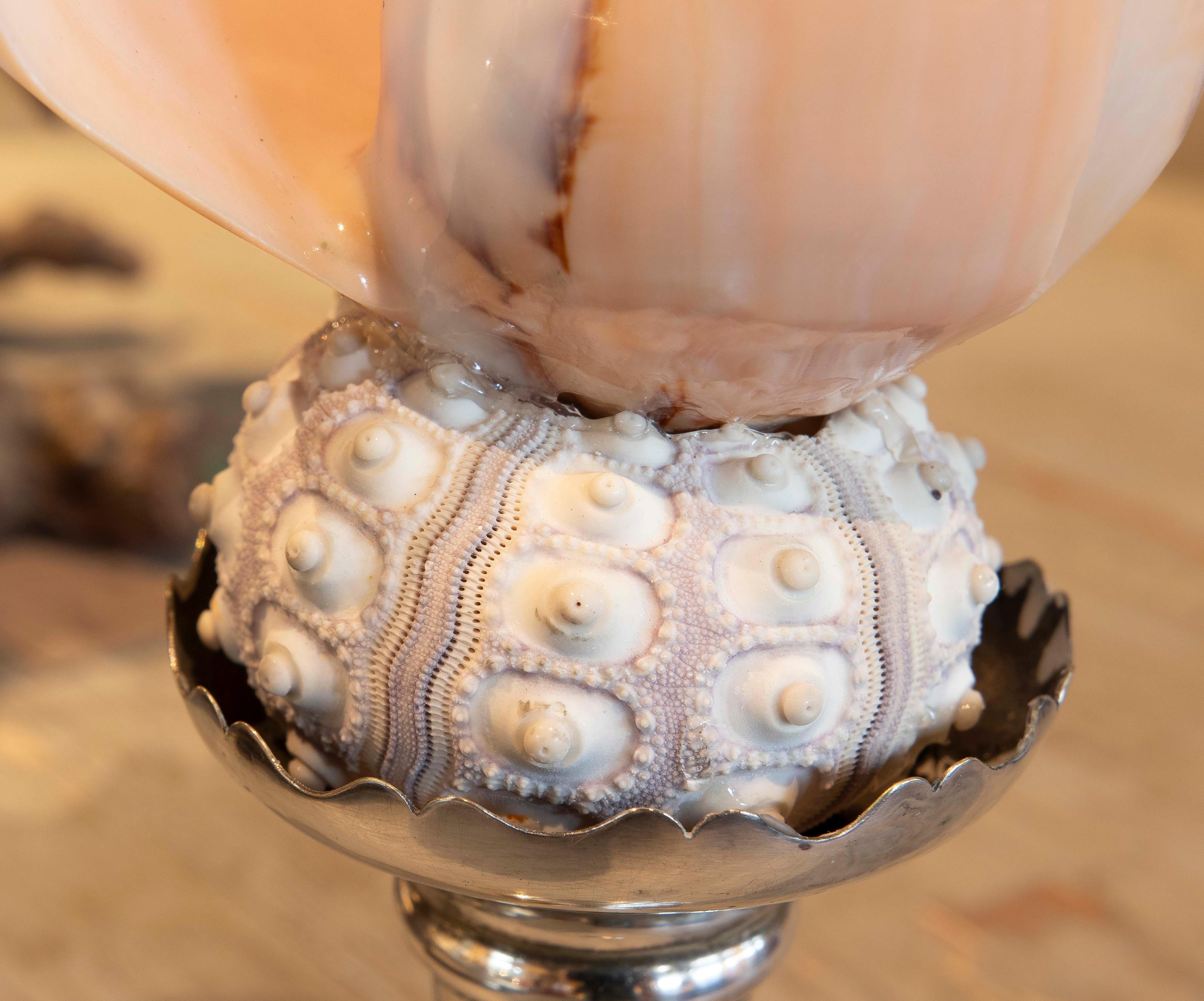 Sculpture with Seashell Assembly and Antique Silver Base For Sale 9