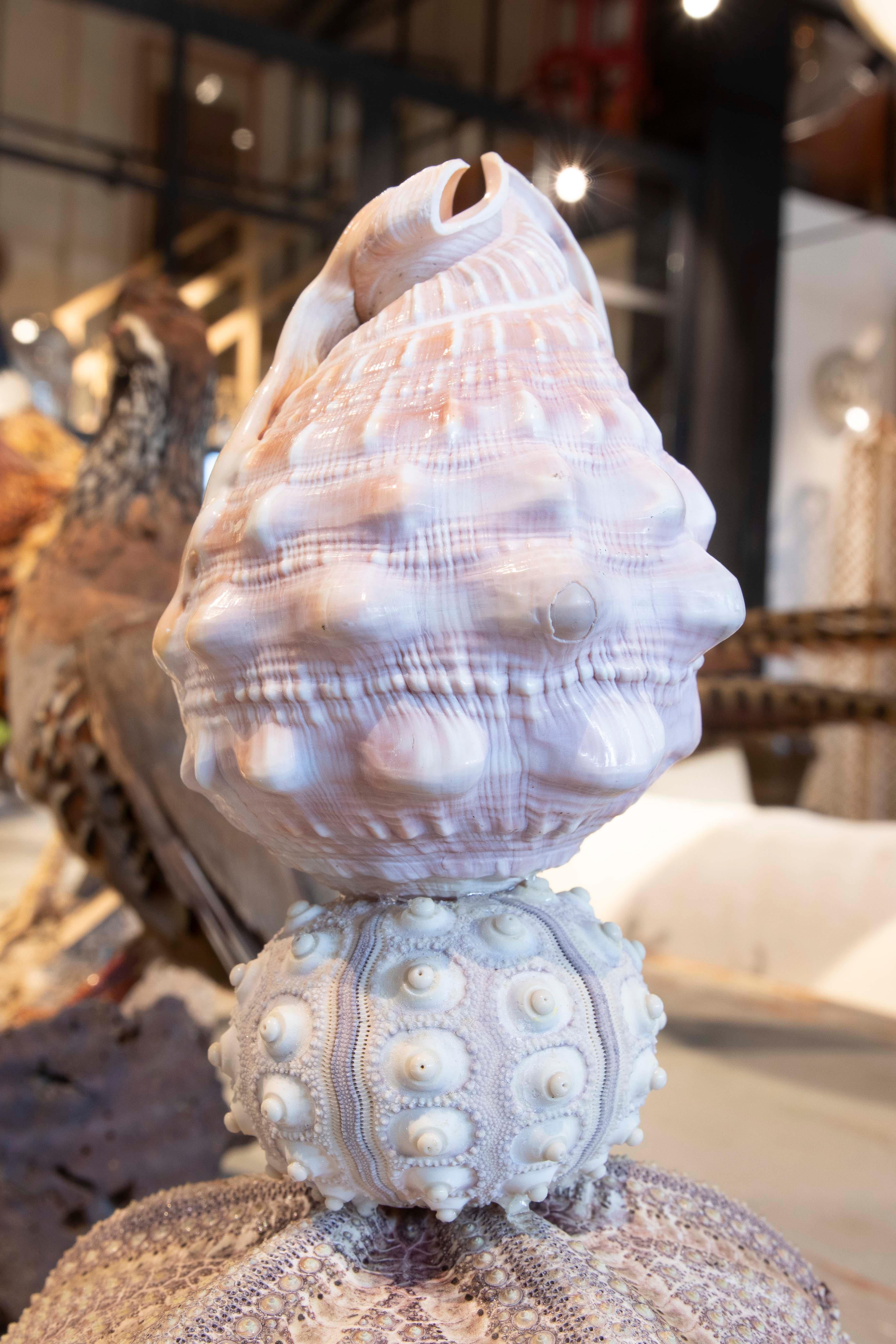 Sculpture with Seashell Assembly and Base of Antique Classical Golden Cup For Sale 5
