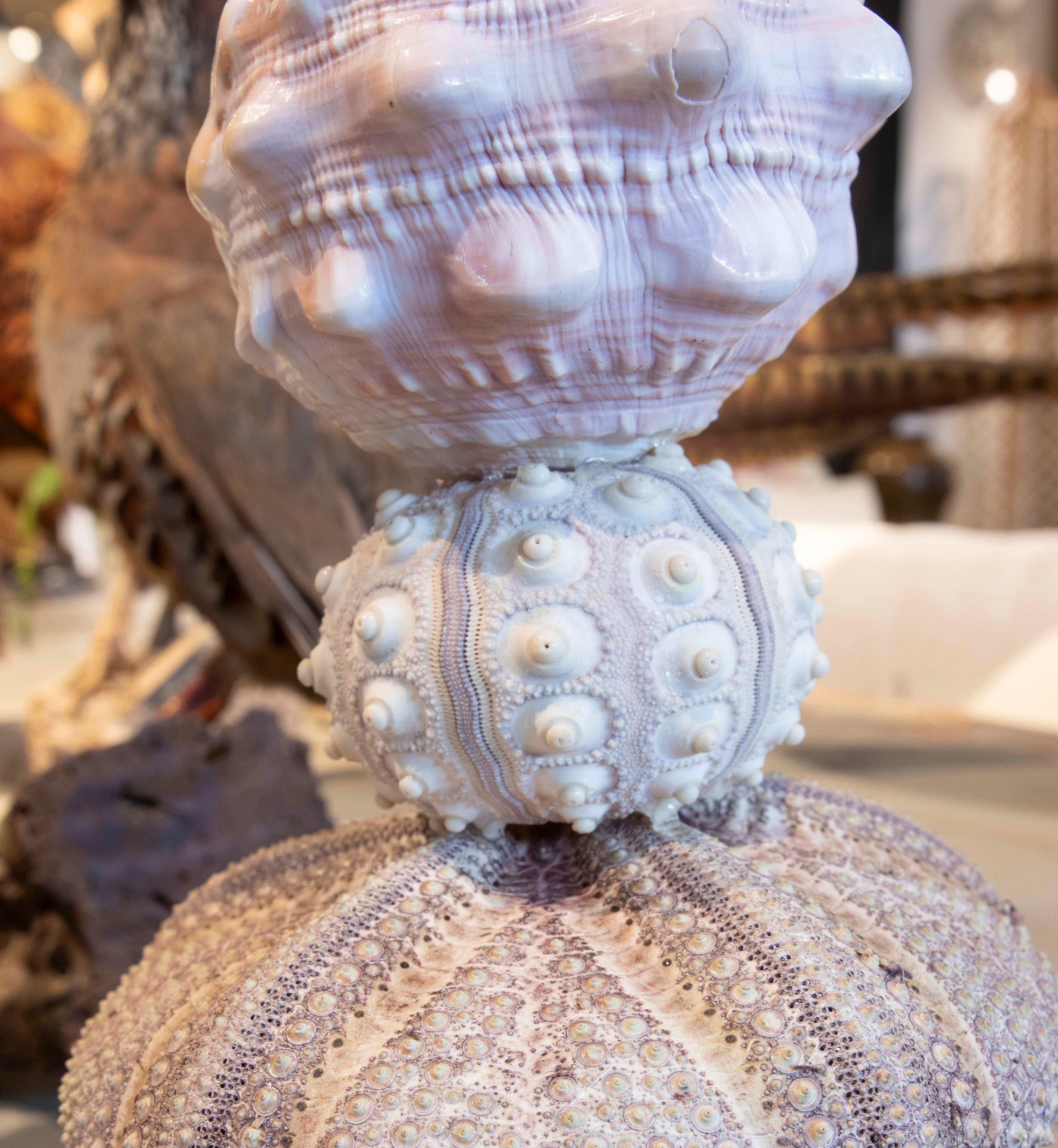 Sculpture with Seashell Assembly and Base of Antique Classical Golden Cup For Sale 6