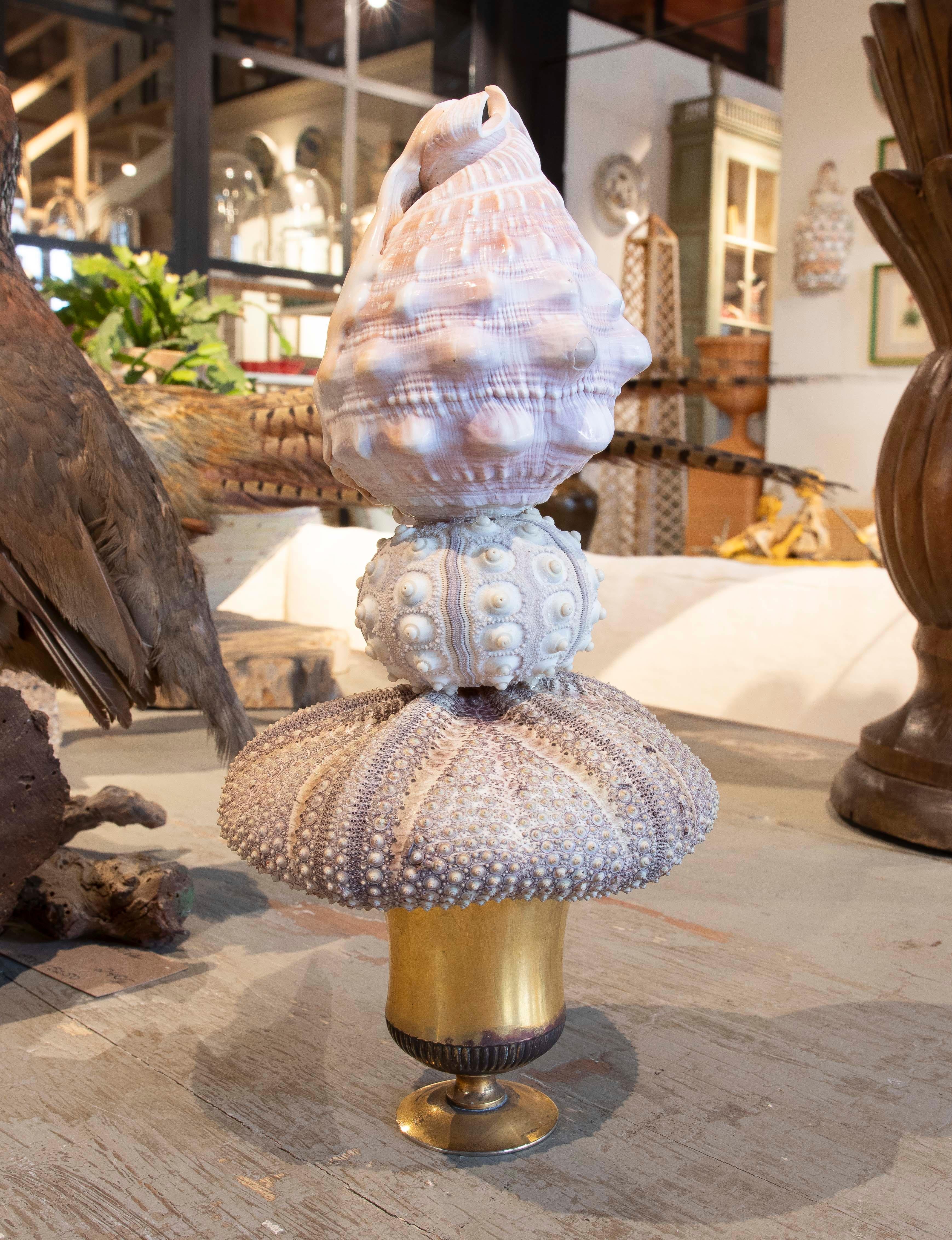 Sculpture with Seashell Assembly and Base of Antique Classical Golden Cup In Good Condition For Sale In Marbella, ES