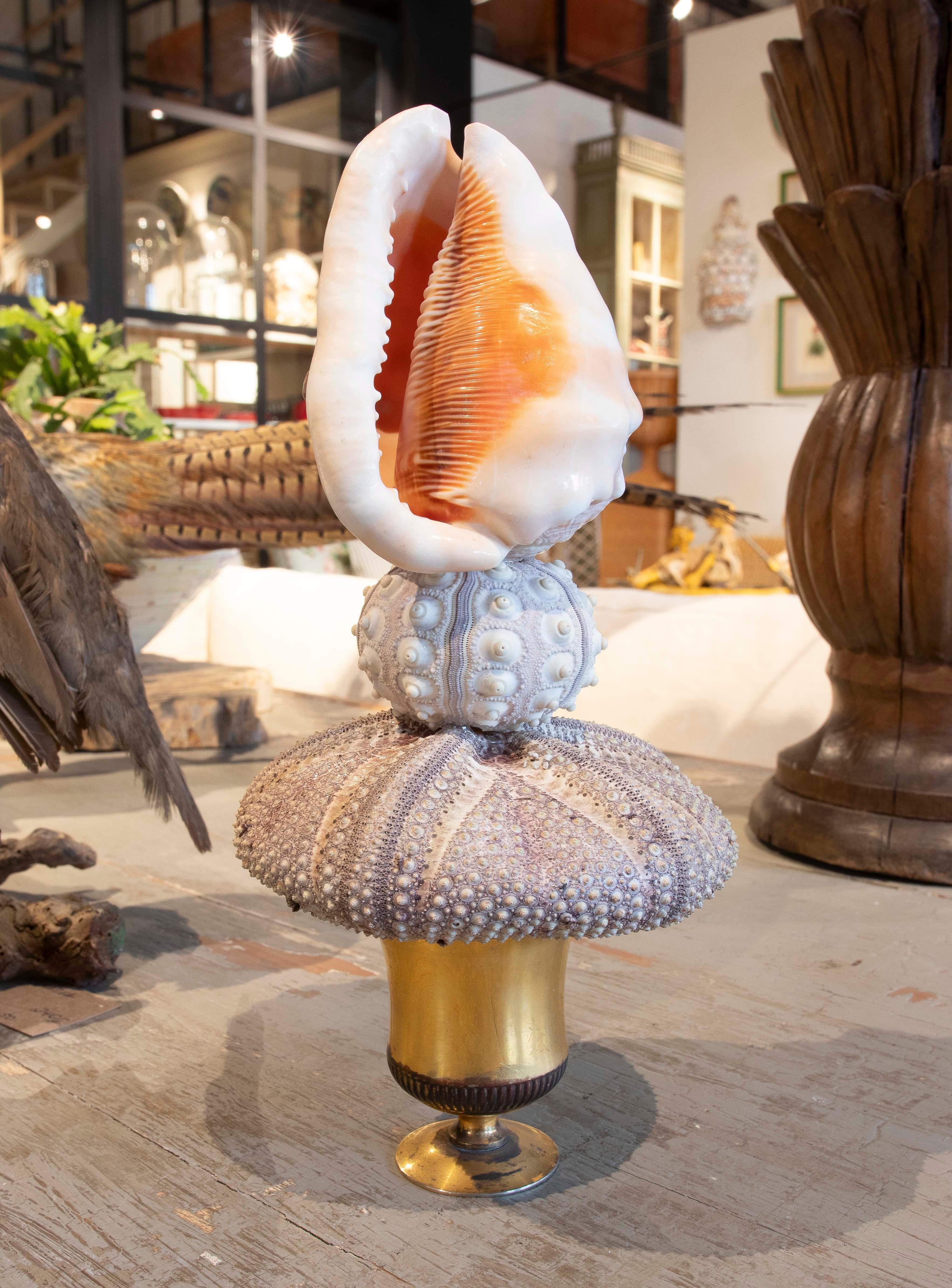 Sculpture with Seashell Assembly and Base of Antique Classical Golden Cup For Sale 1