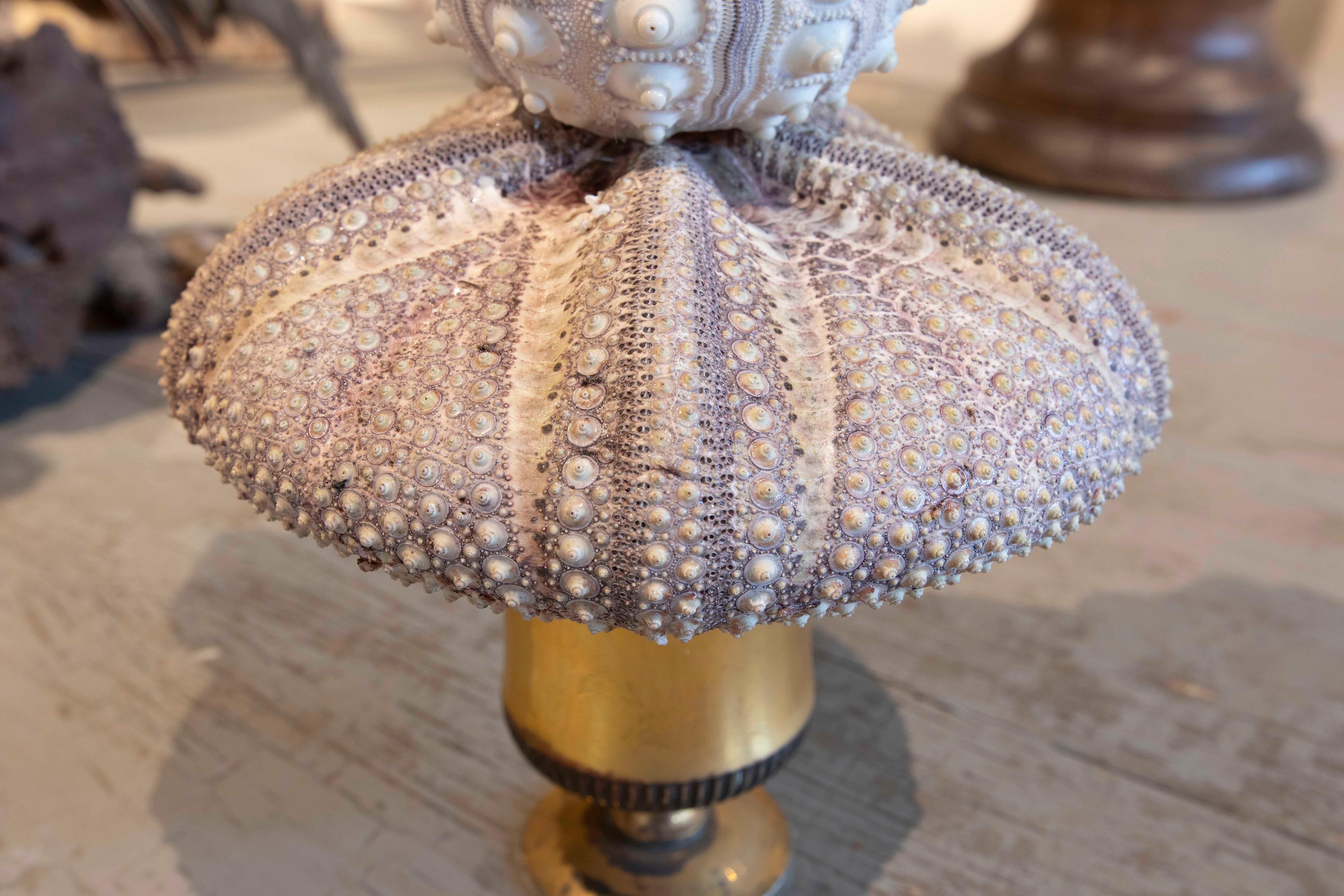 Sculpture with Seashell Assembly and Base of Antique Classical Golden Cup For Sale 3