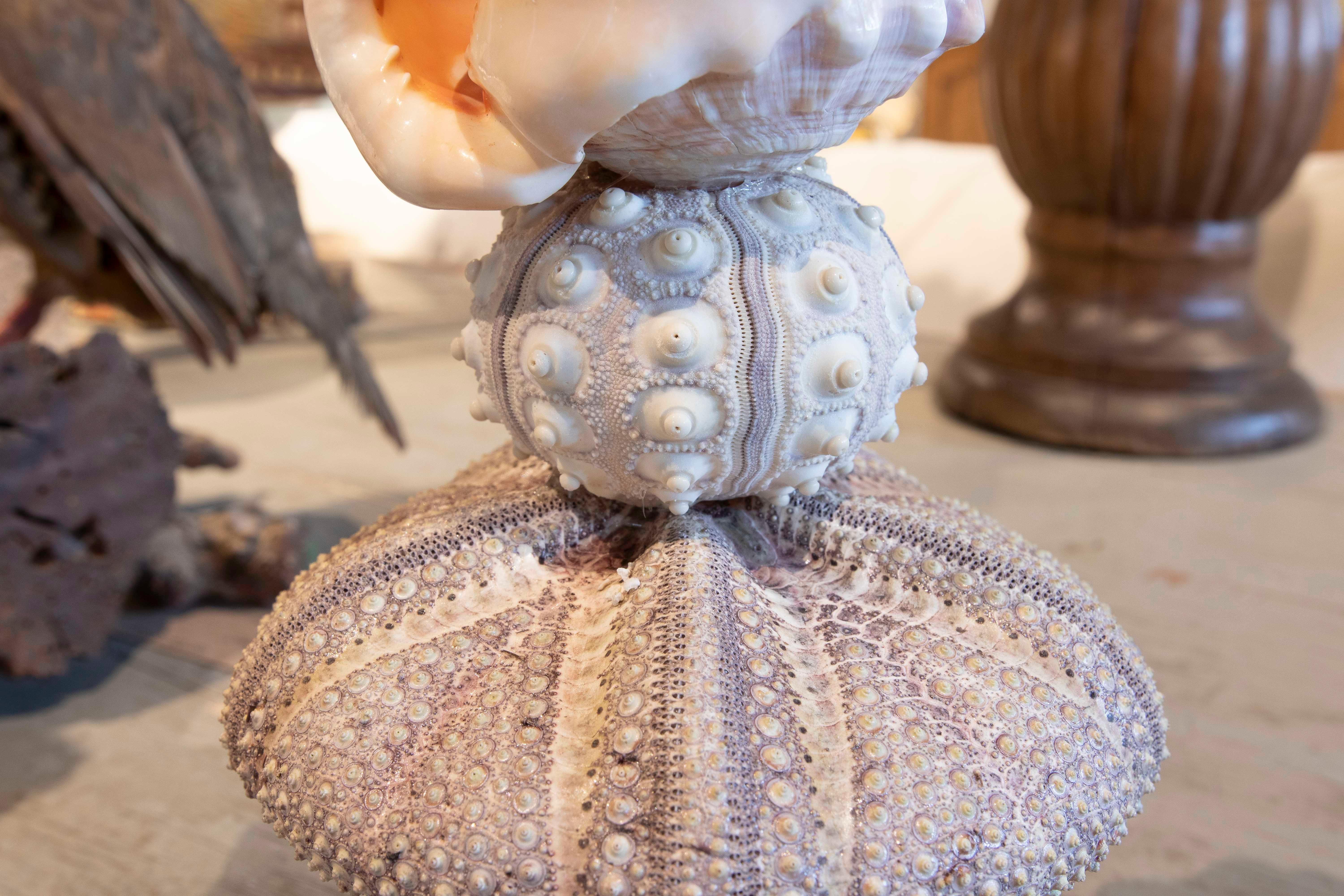 Sculpture with Seashell Assembly and Base of Antique Classical Golden Cup For Sale 4
