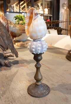 Sculpture with Seashells and Base with Antique Bronze Candelabrum