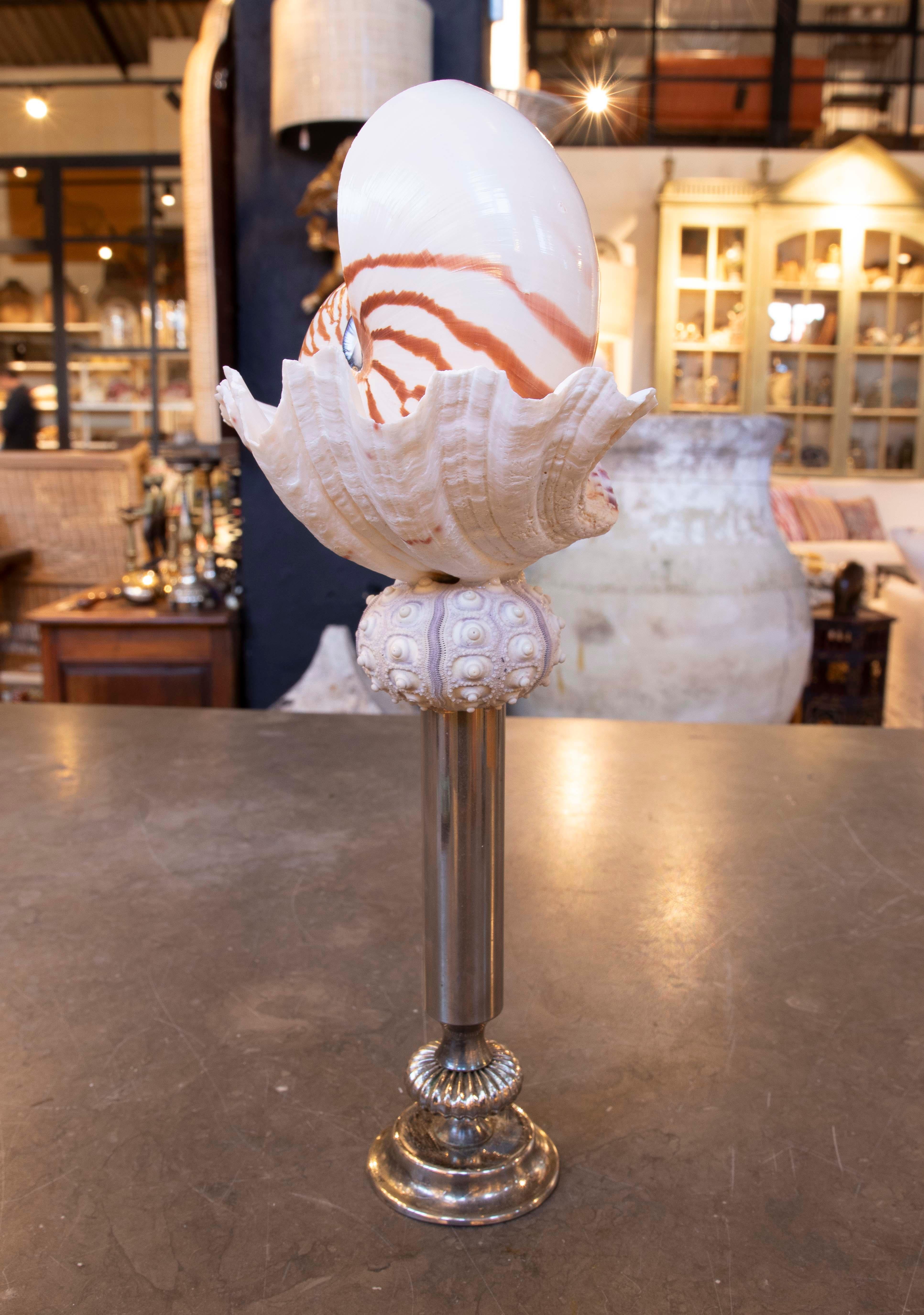 20th Century Sculpture with Seashells and Base with Antique silver plate Candelabrum For Sale