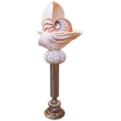 Sculpture with Seashells and Base with Antique silver plate Candelabrum