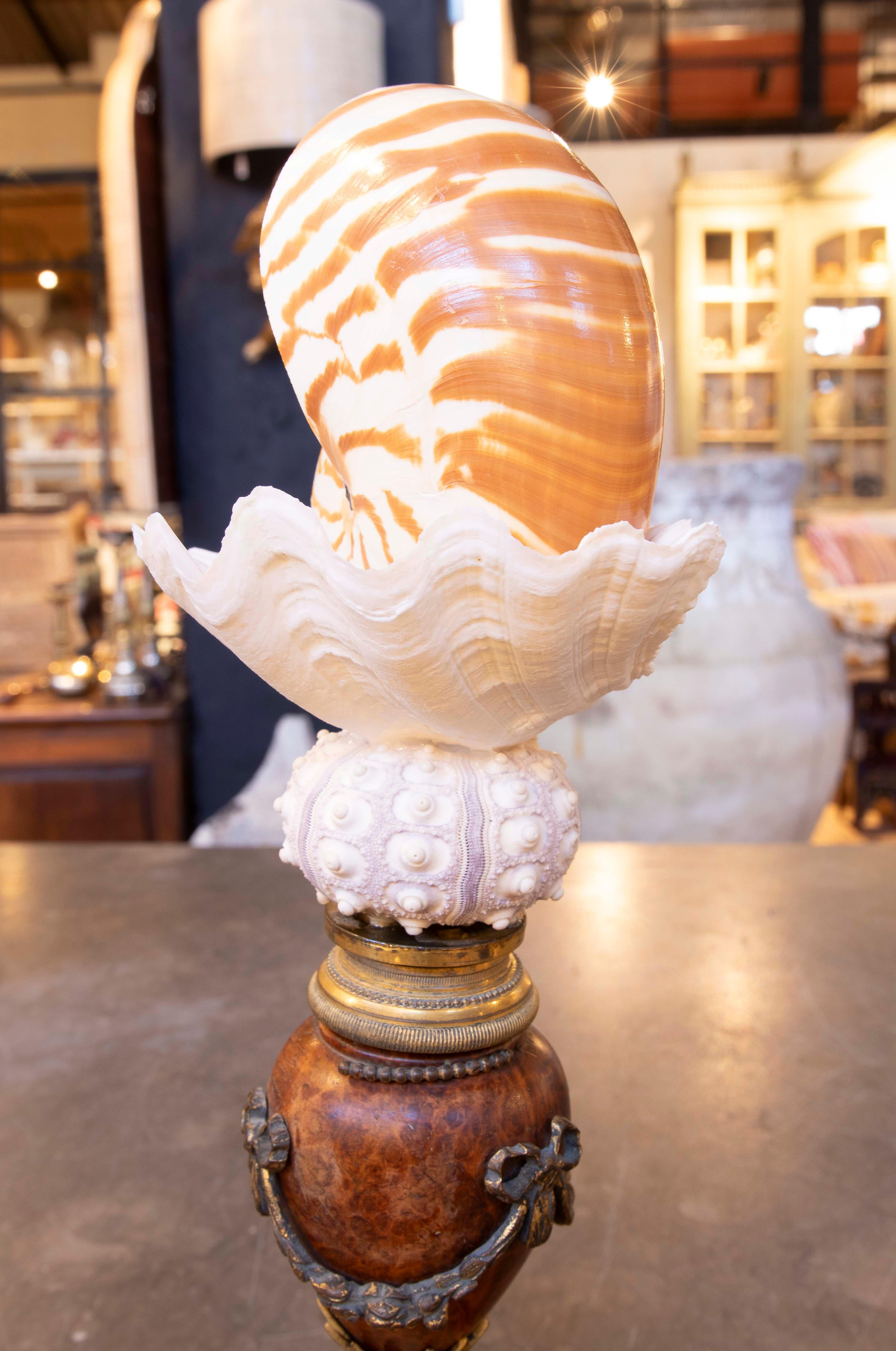 Scultura con conchiglie con base Antique French con bronzo in vendita 7