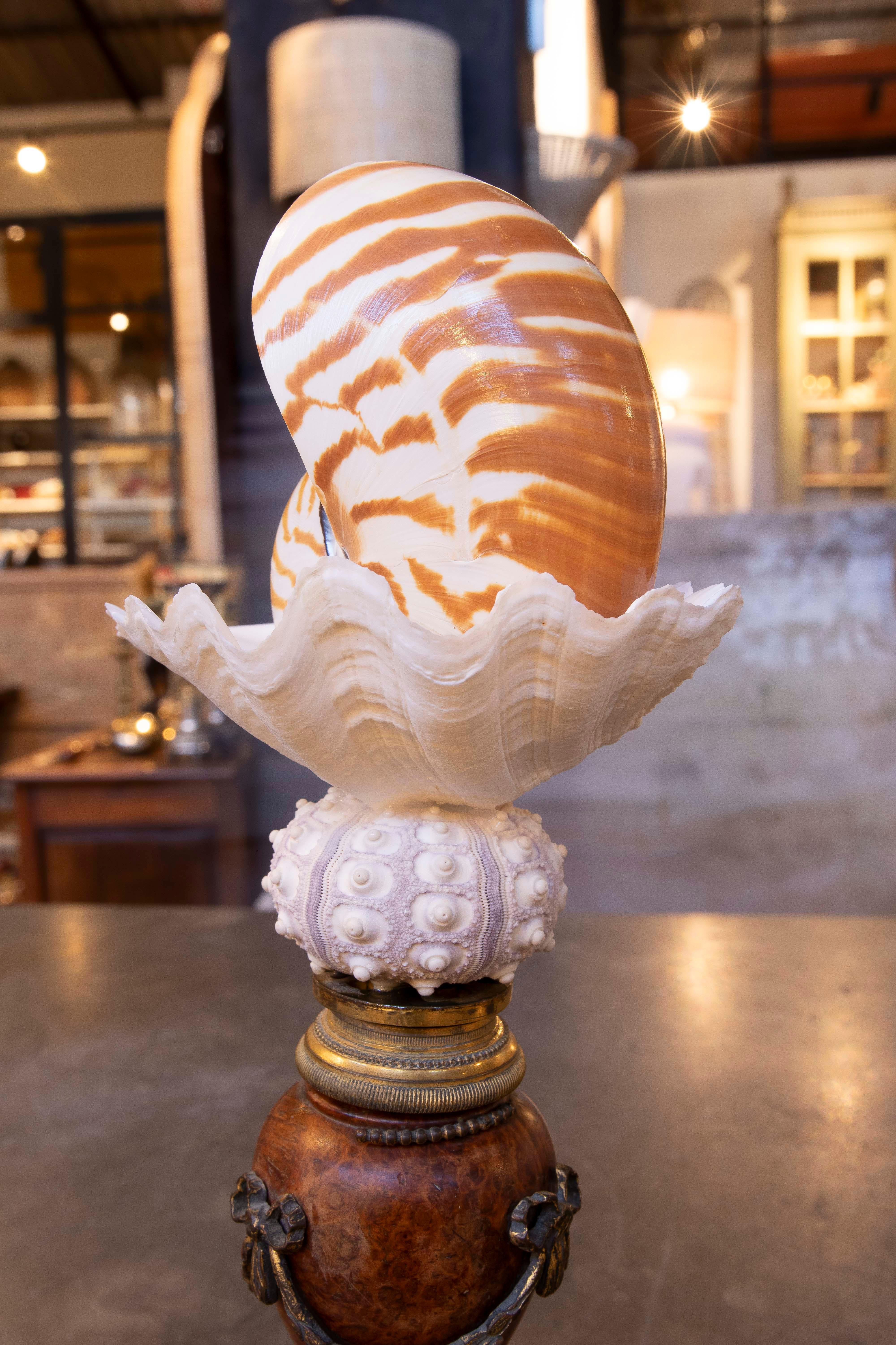 Scultura con conchiglie con base Antique French con bronzo in vendita 11