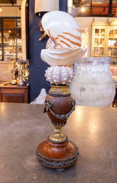 Sculpture avec coquillages  Avec base française ancienne en bronze