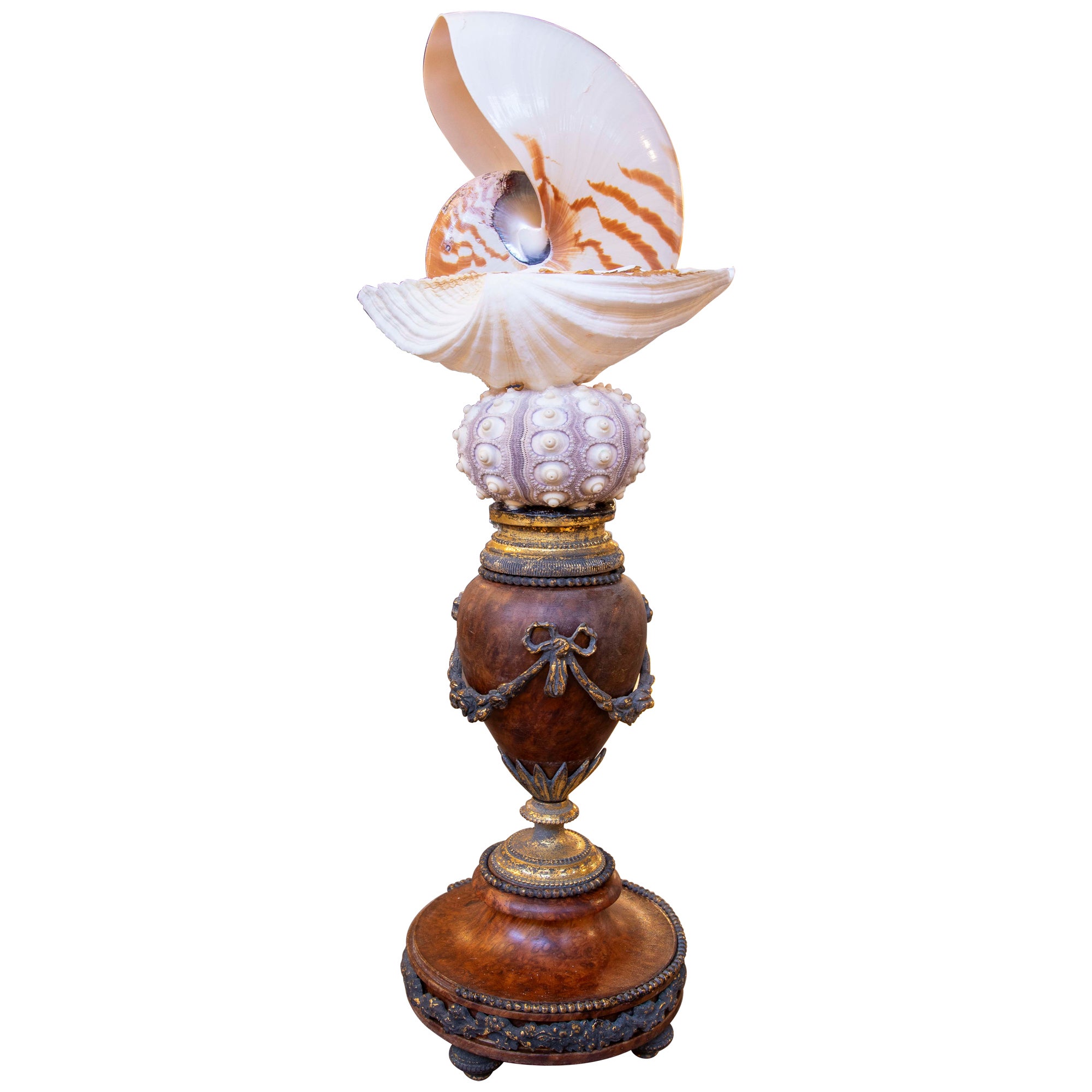 Sculpture with Seashells  with Antique french base with bronze