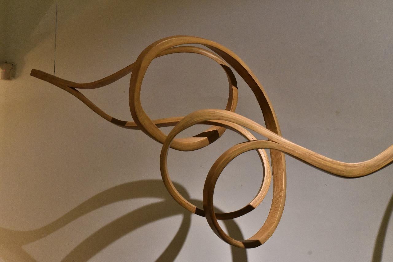 Sculpture - Wooden Sculpture - Form No. 9 - Vrksa Series In New Condition For Sale In Cape Girardeau, MO
