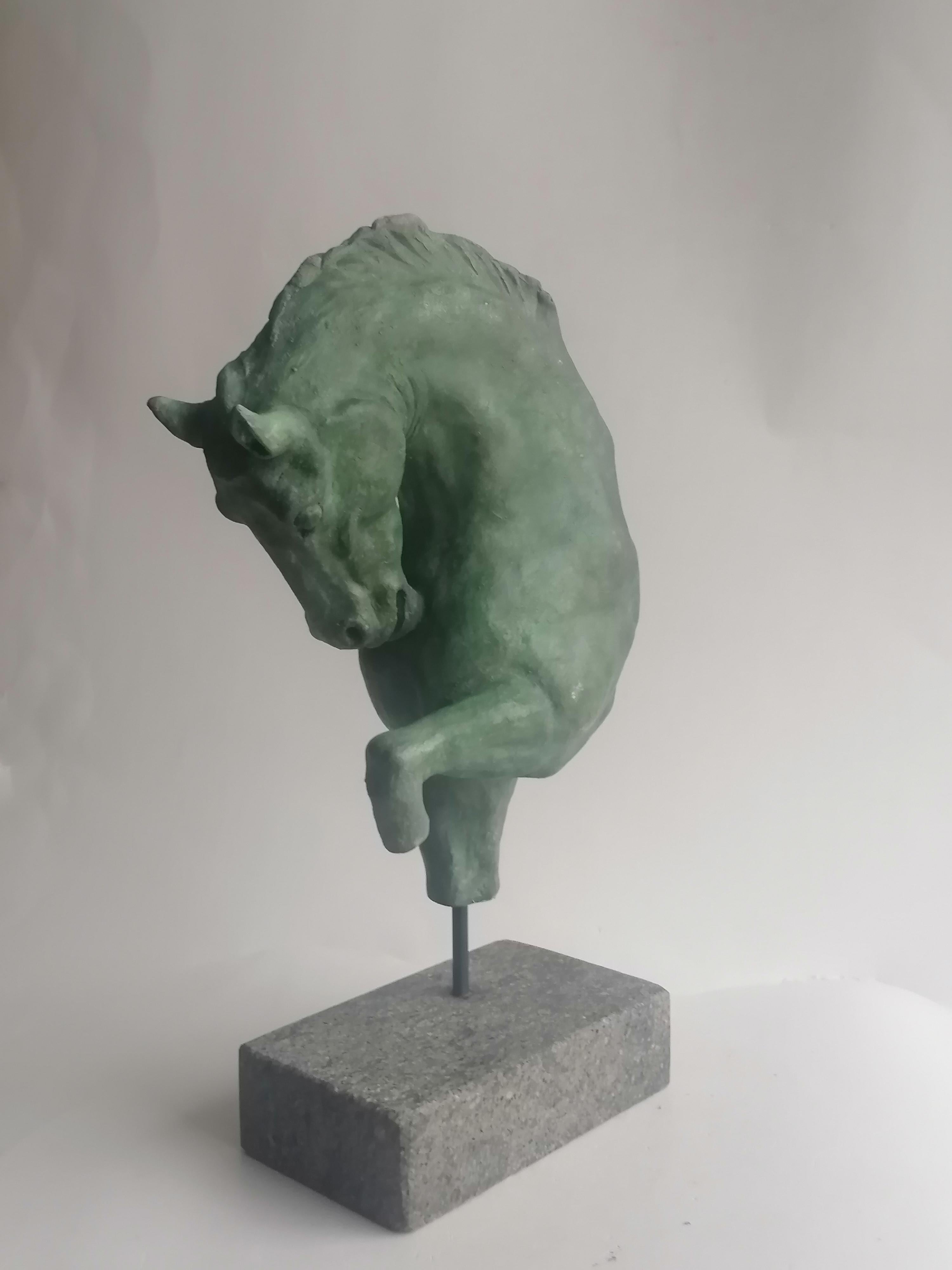 Italian Scultura Cavallo -frammento- ceramica chiara patina bronzo -made in Italy in vendita