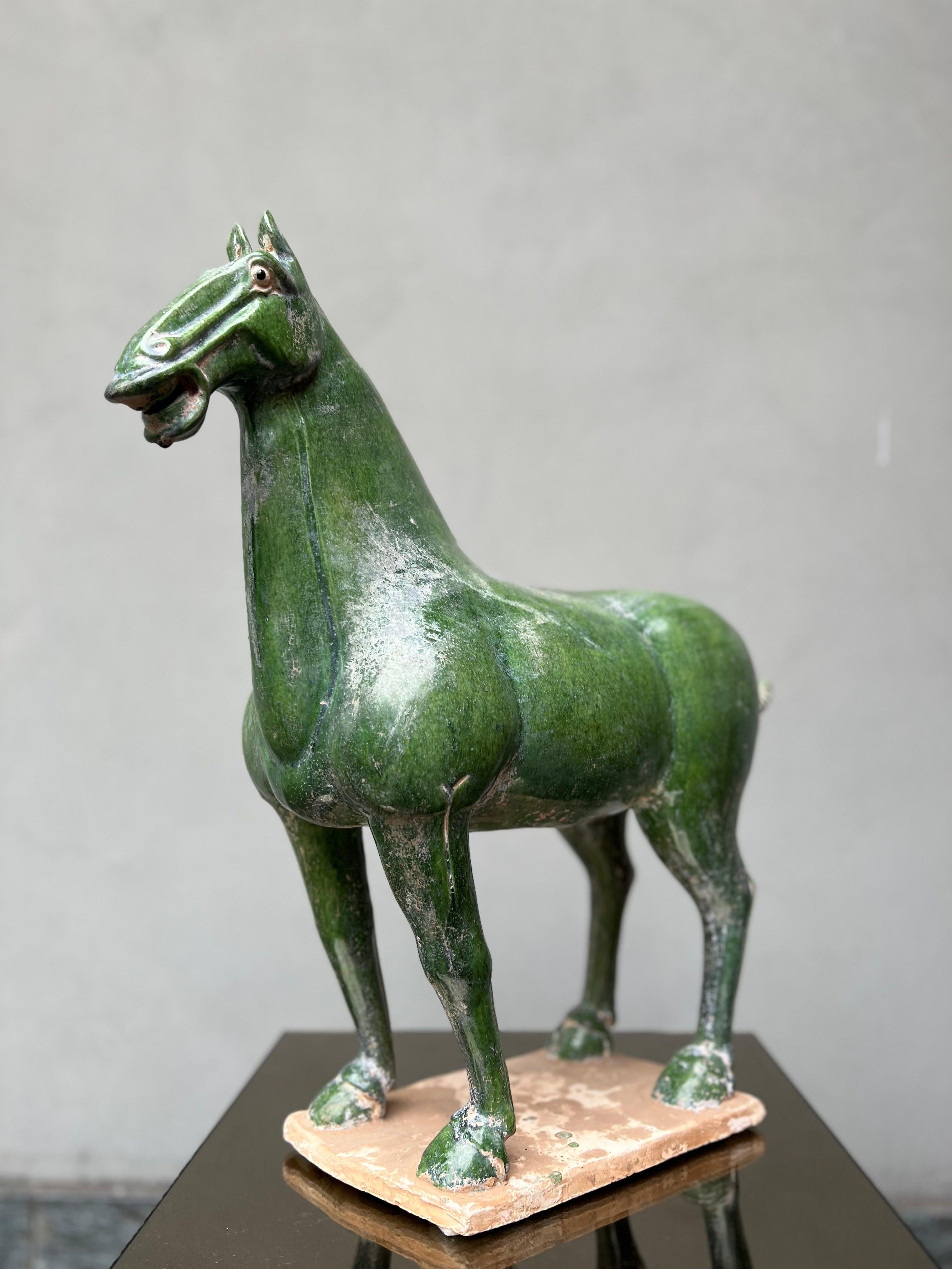 Scultura Cavallo Terracotta Cinese Smaltato, Anni 50, Horse, Sculpture For Sale 4