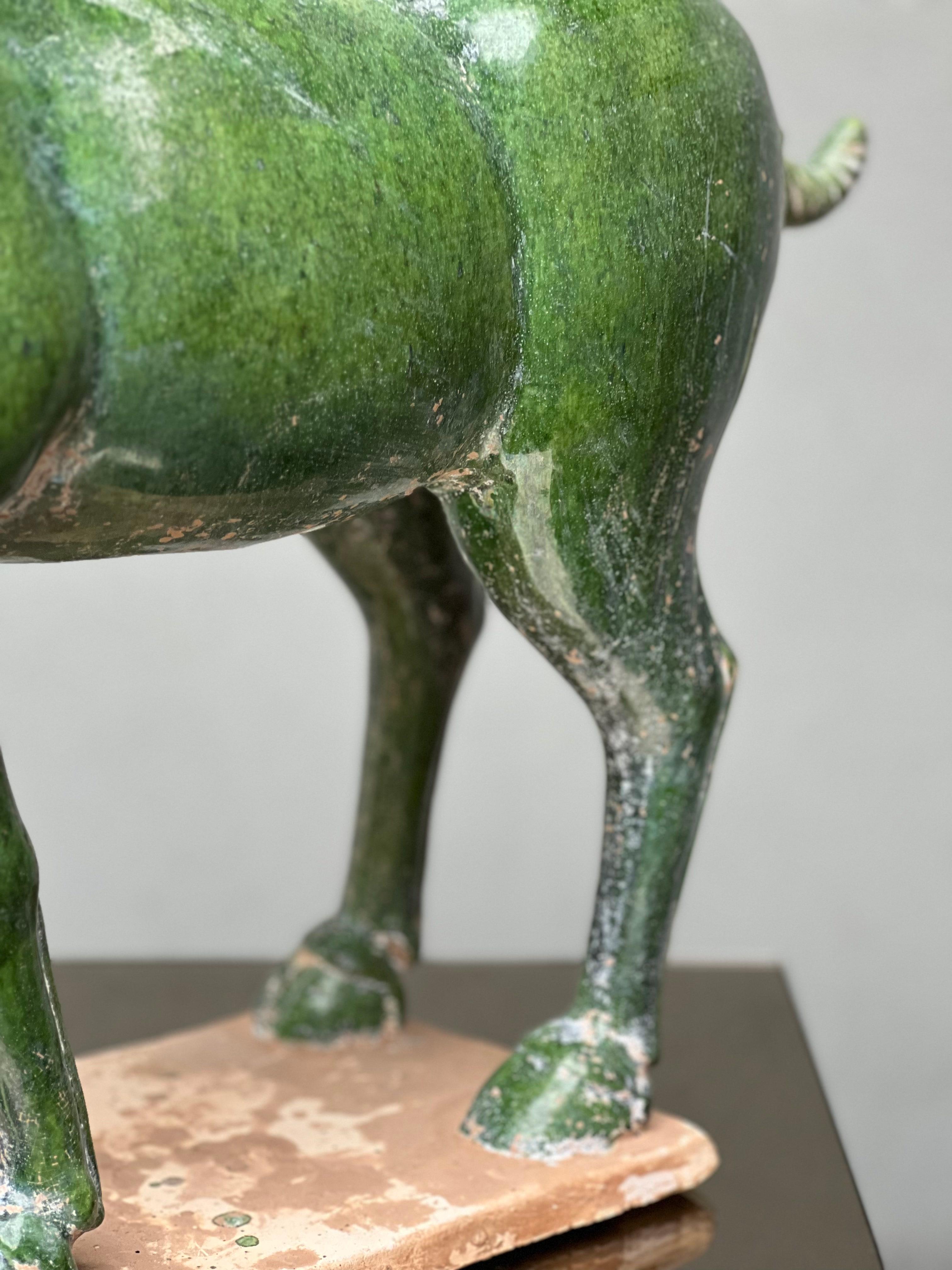 Ceramic Scultura Cavallo Terracotta Cinese Smaltato, Anni 50, Horse, Sculpture For Sale