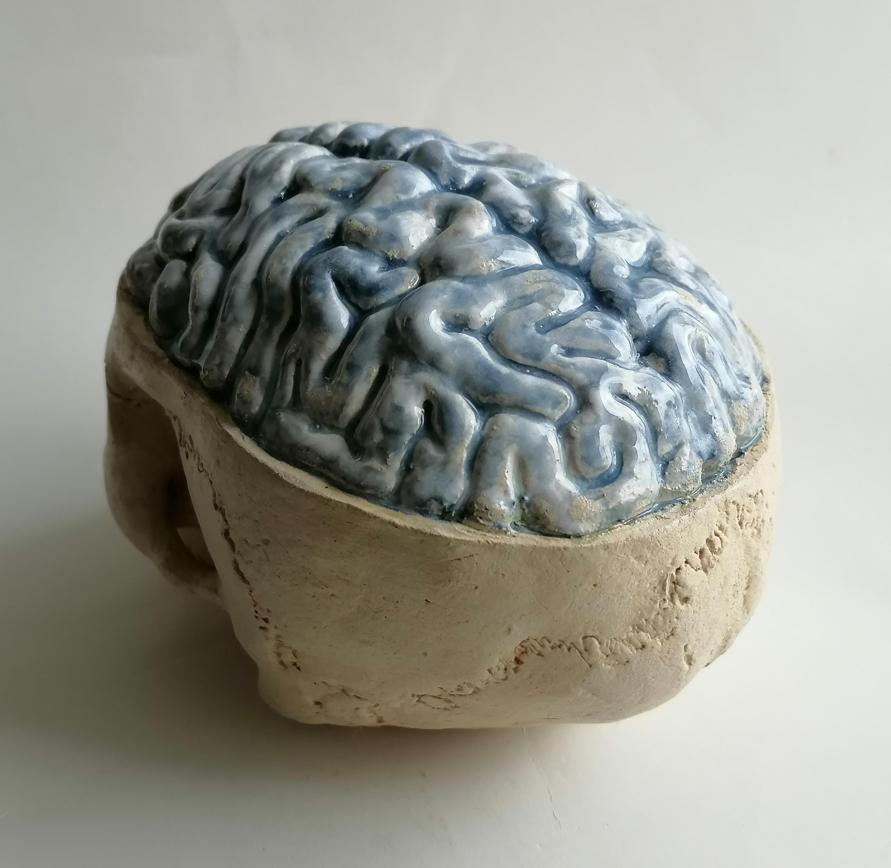 escultura 'Thinking Skull' en cerámica clara esmaltada y decorada -fabricada en Italia Hecho a mano en venta