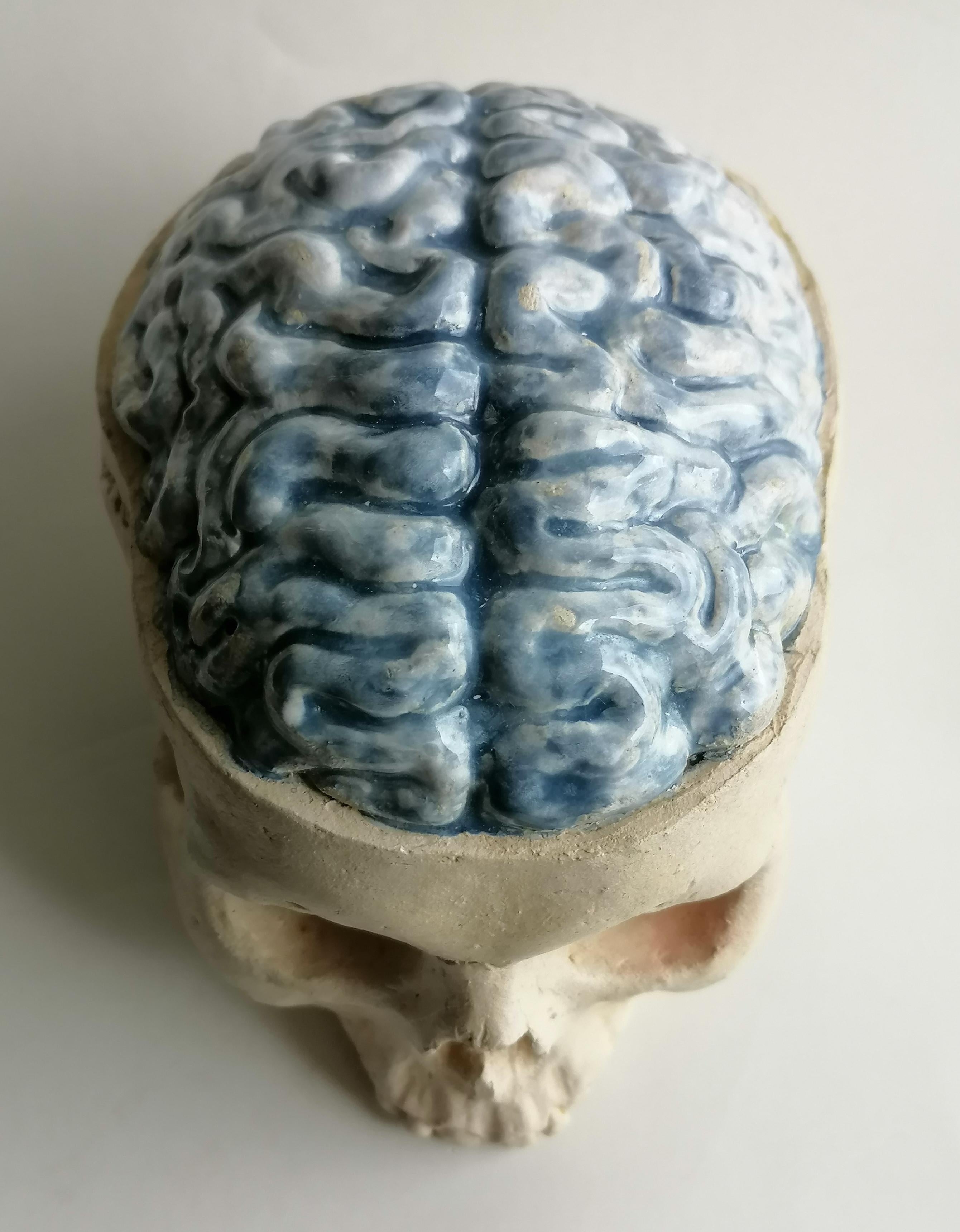 escultura 'Thinking Skull' en cerámica clara esmaltada y decorada -fabricada en Italia en Nuevo estado para la venta en Tarquinia, IT