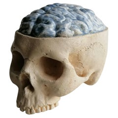 scultura "Cranio pensante" in ceramica chiara smaltata e decorata -made in Italy
