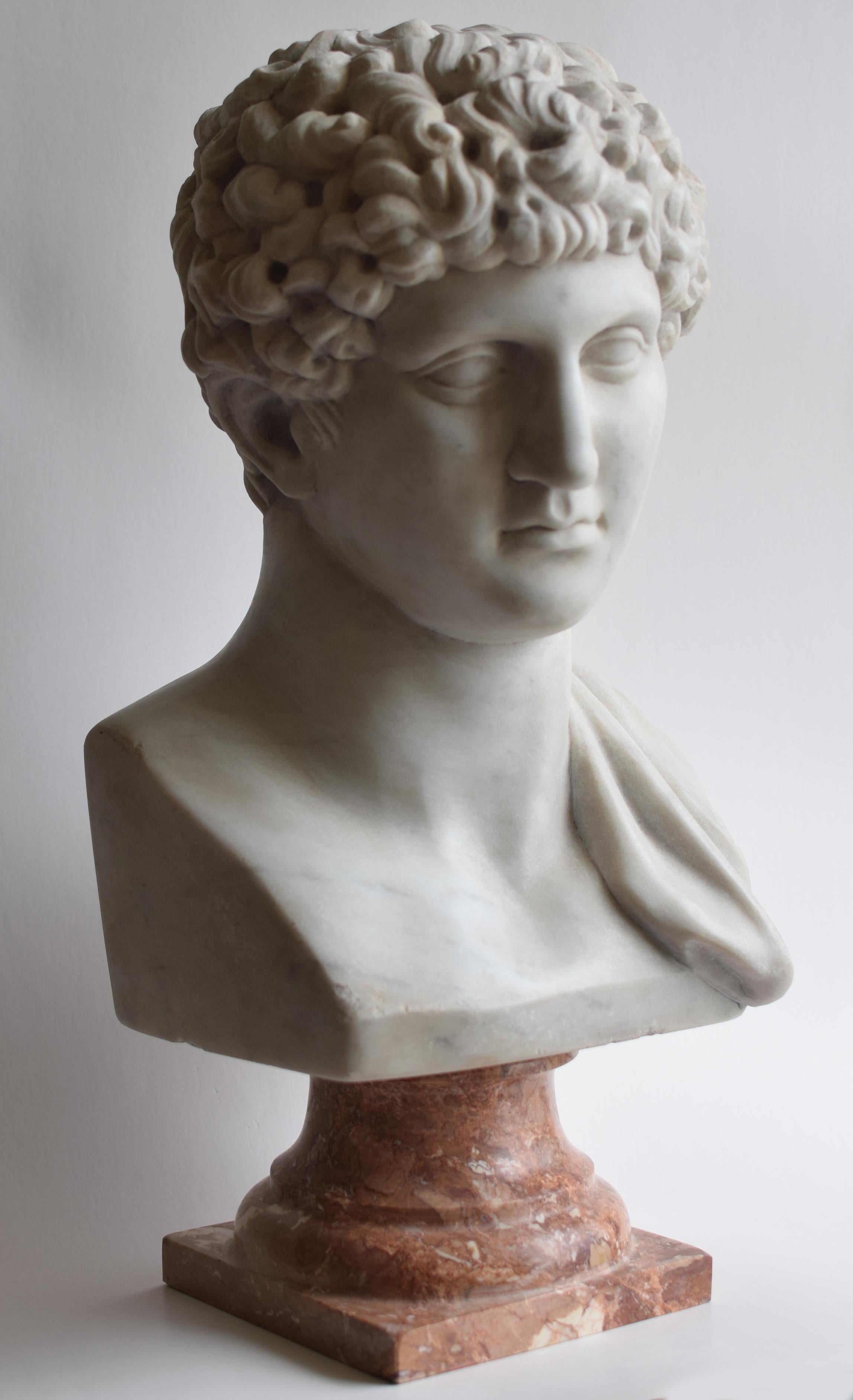 Kapitolinische Antinoos-Skulptur, Antinoos-Kopfskulptur, Skulptur, männlicher Kopf, klassische Kunst, griechische Kunst, Antinoos-Kunst, weißer Carrara-Marmor, klassische Skulptur 
Porträtkopf des kapitolinischen Antinoos, besonders gelockte Version