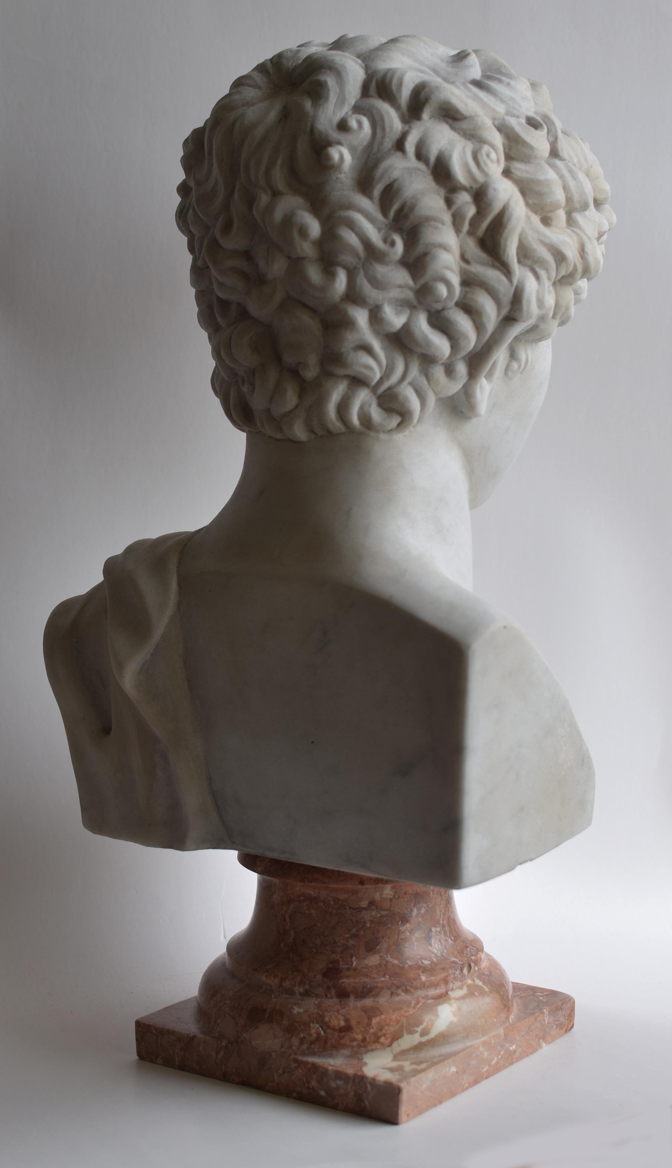 Kapitolinische Antinoos-Skulptur - weißer Carrara-Marmor - hergestellt in Italien (Griechisch-römisch) im Angebot