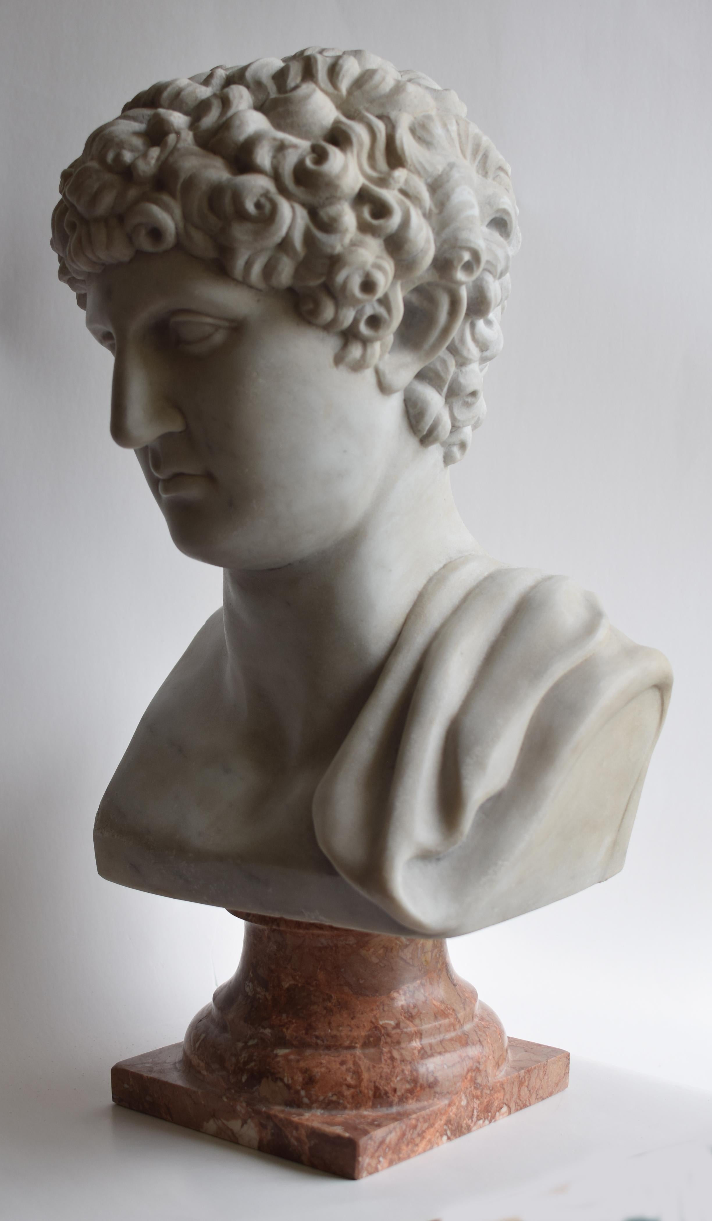 Kapitolinische Antinoos-Skulptur - weißer Carrara-Marmor - hergestellt in Italien im Zustand „Gut“ im Angebot in Tarquinia, IT