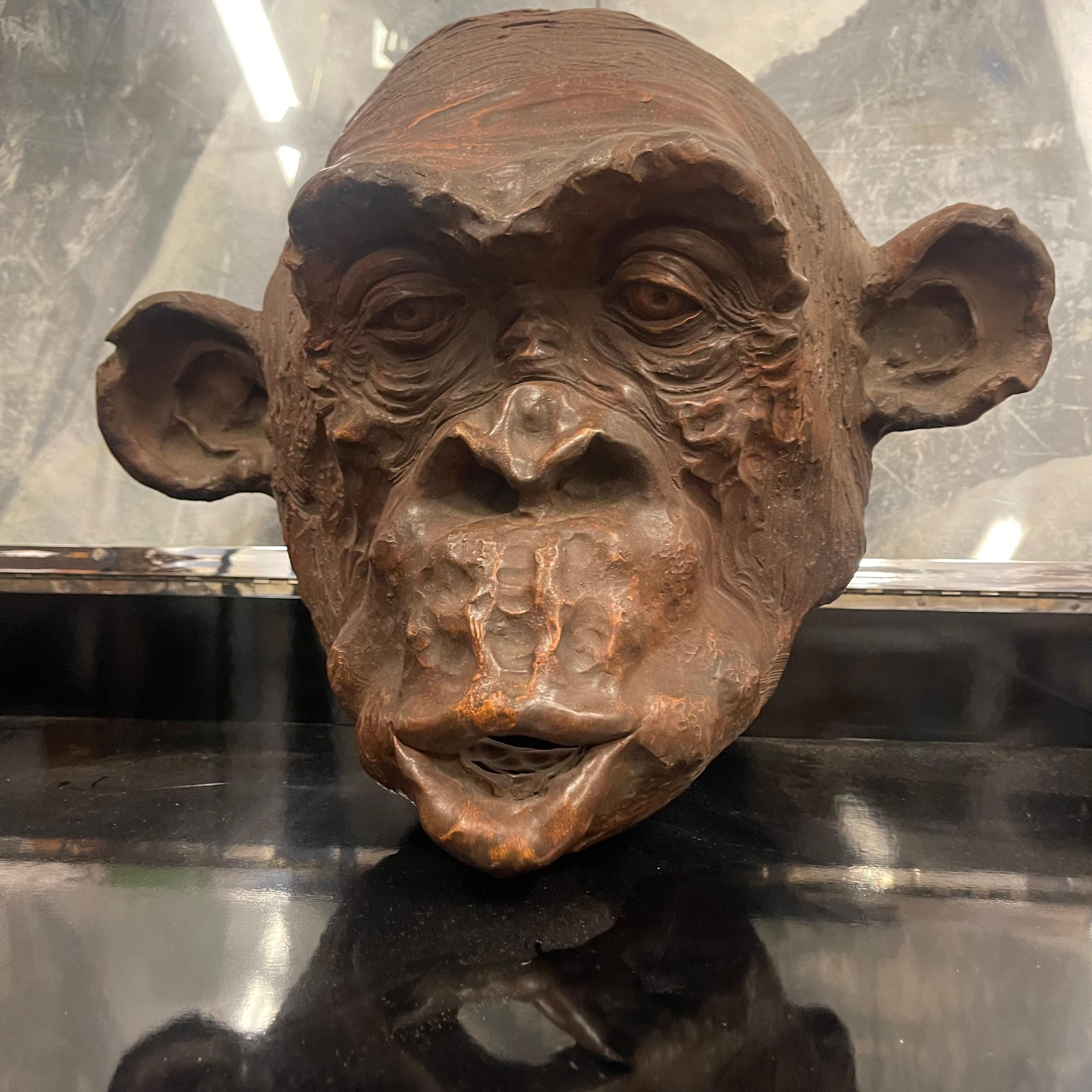 Modern Scultura di Testa di Scimmia Bonobo in Terracotta firmata e Datata - Italia 2018