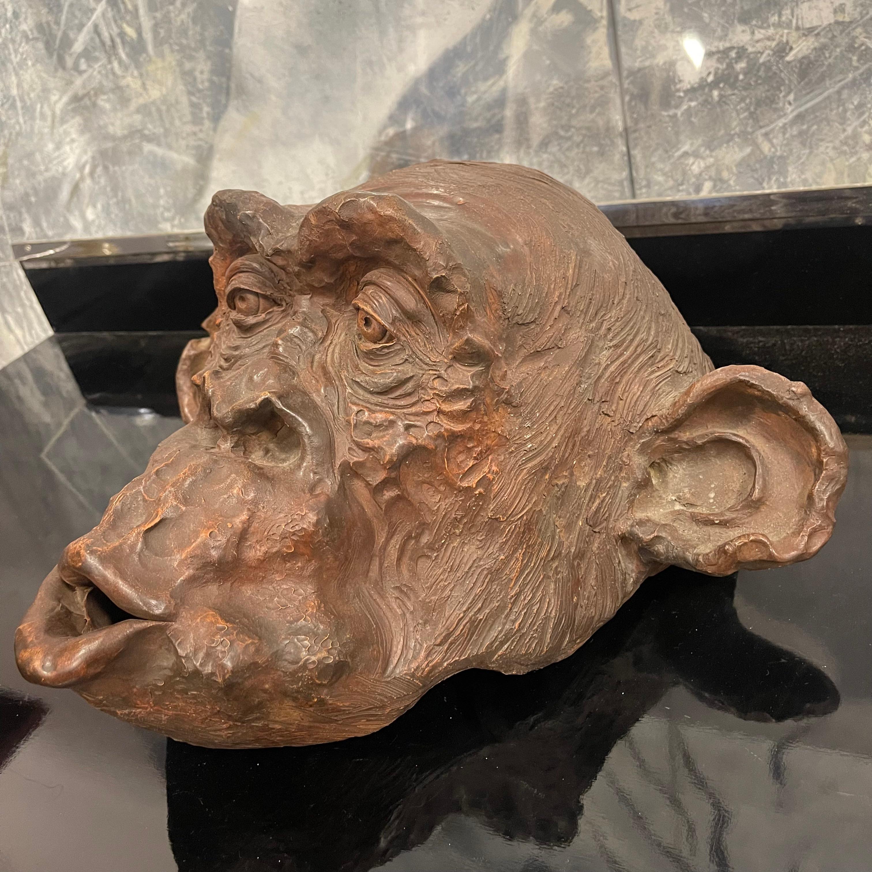 Pottery Scultura di Testa di Scimmia Bonobo in Terracotta firmata e Datata - Italia 2018
