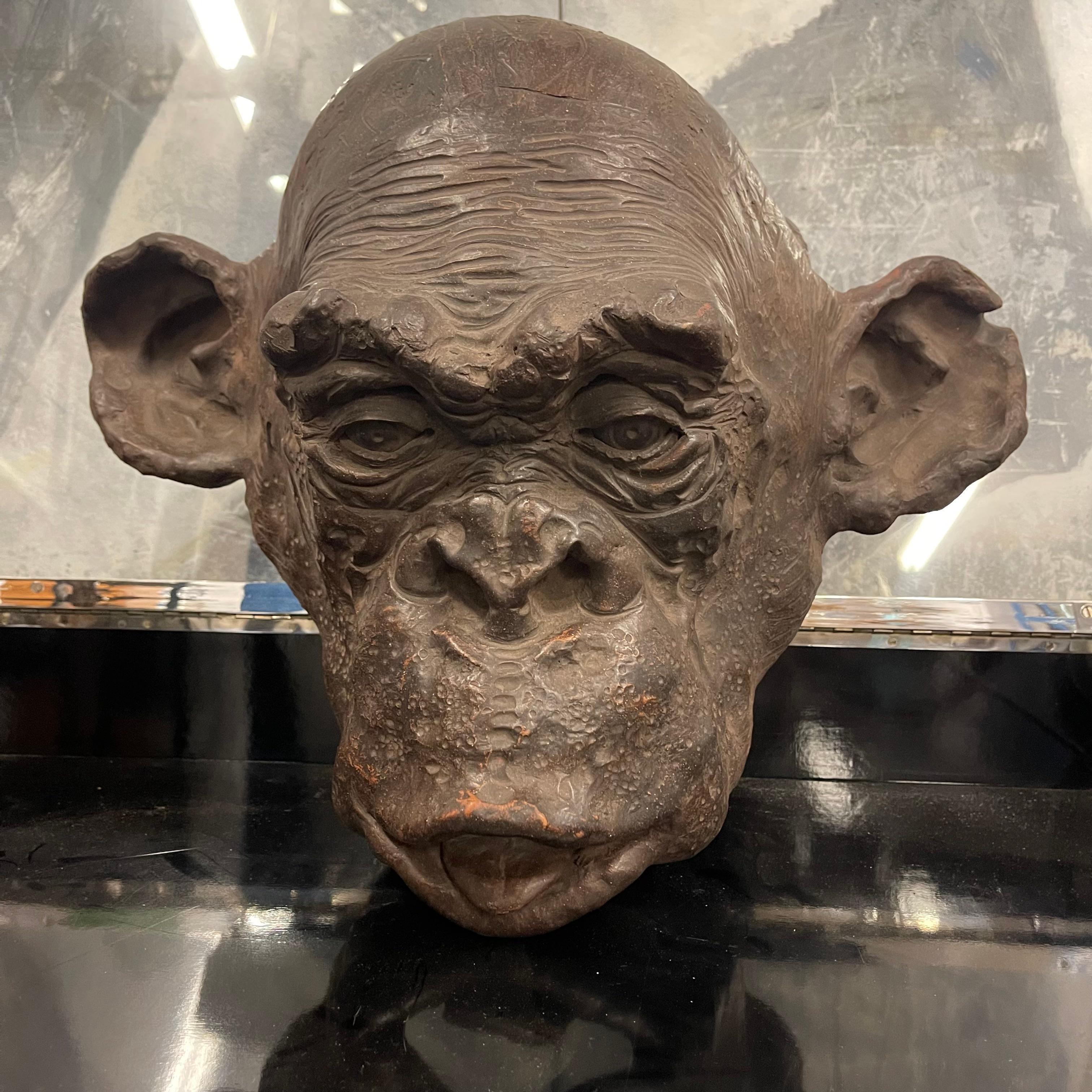 Pottery Bonobo Monkey Head Sculpture in Terracotta Signed and Dated - Italy 2019 For Sale