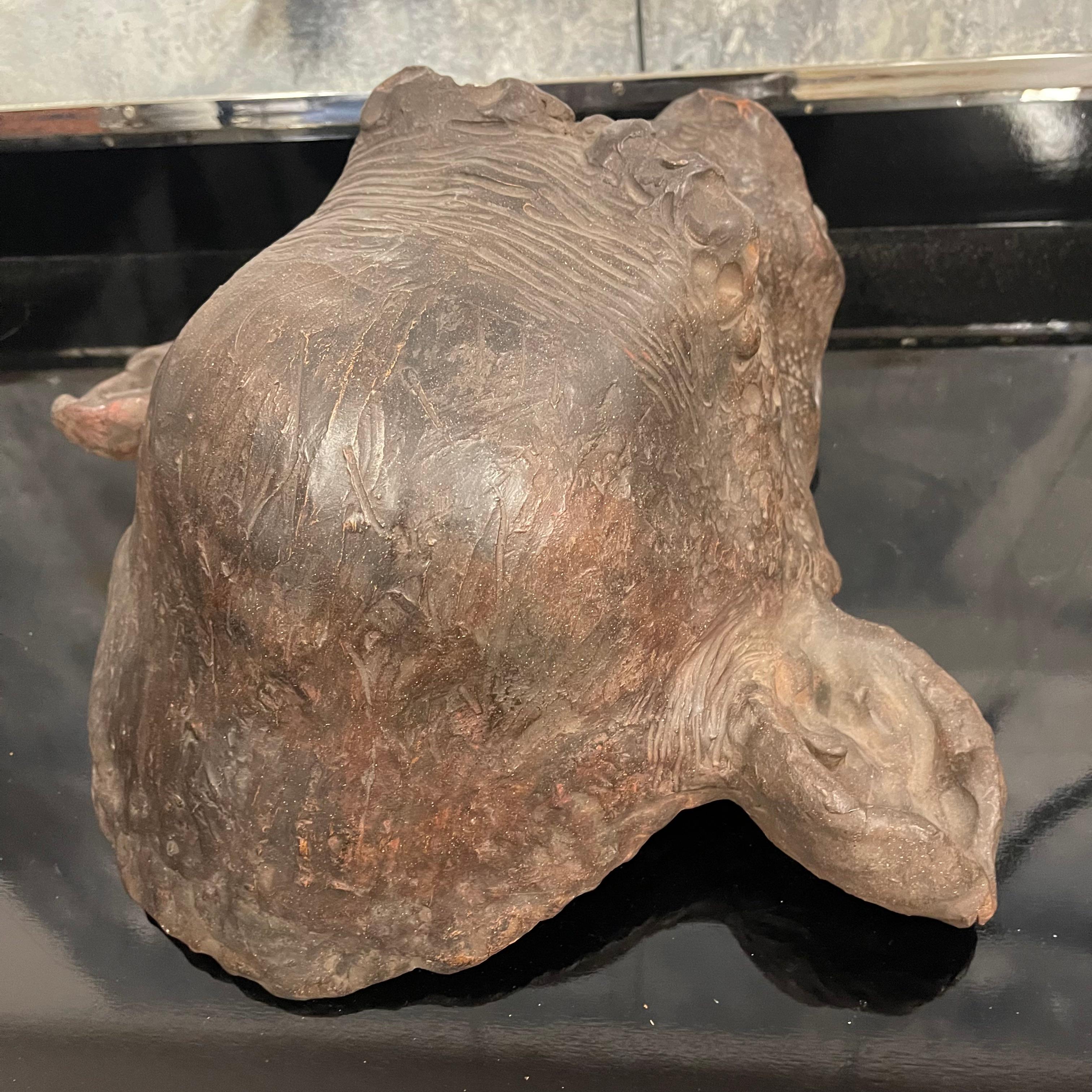 Terrakotta Bonobo Affenkopf Skulptur signiert und datiert - Italien 2019 im Angebot 1