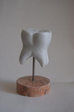 sculpture à grande échelle d'une dent humaine - fabriquée en Italie