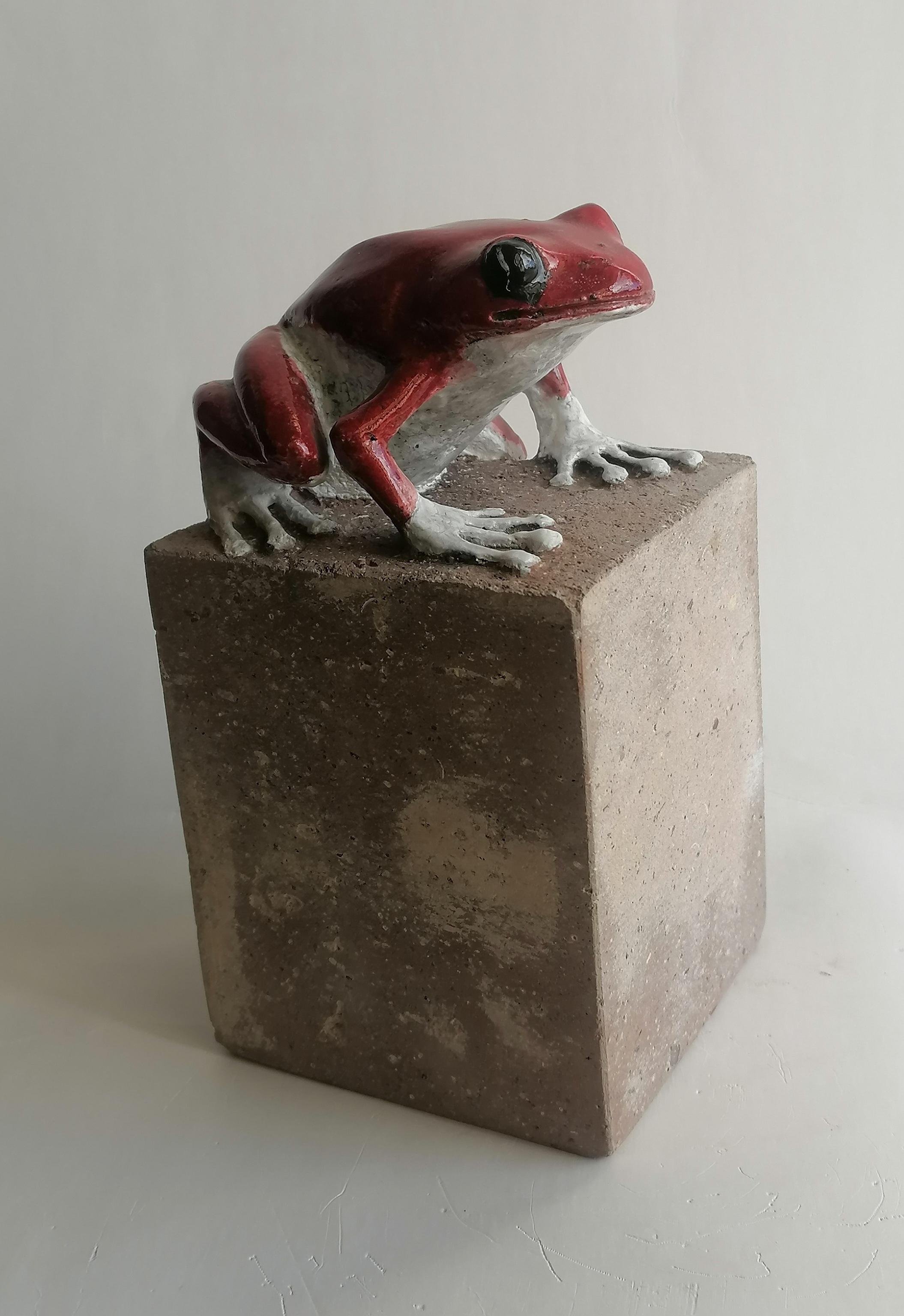 Realistische Skulptur eines roten Frosches auf Vulkangestein, der anschließend emailliert, dekoriert und bei 1000 Grad gebrannt wurde.
die Fotosequenz zeigt auch die Anfangsphase der Skulptur.
Einzigartiges Sammlerstück, das in der Todini-Werkstatt