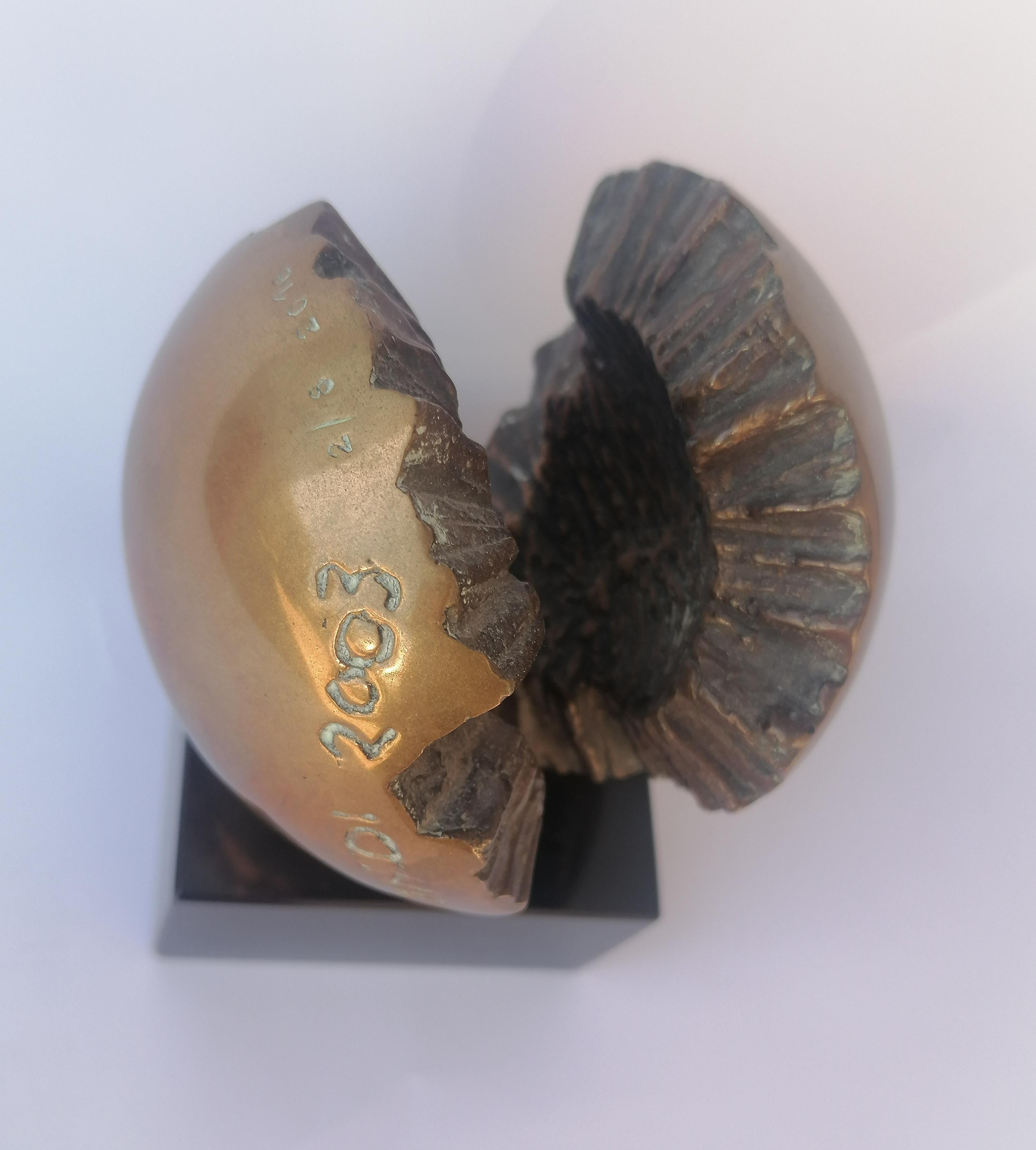 Italian scultura in bronzo di Claudio Capotondi _ Sferaperta in vendita