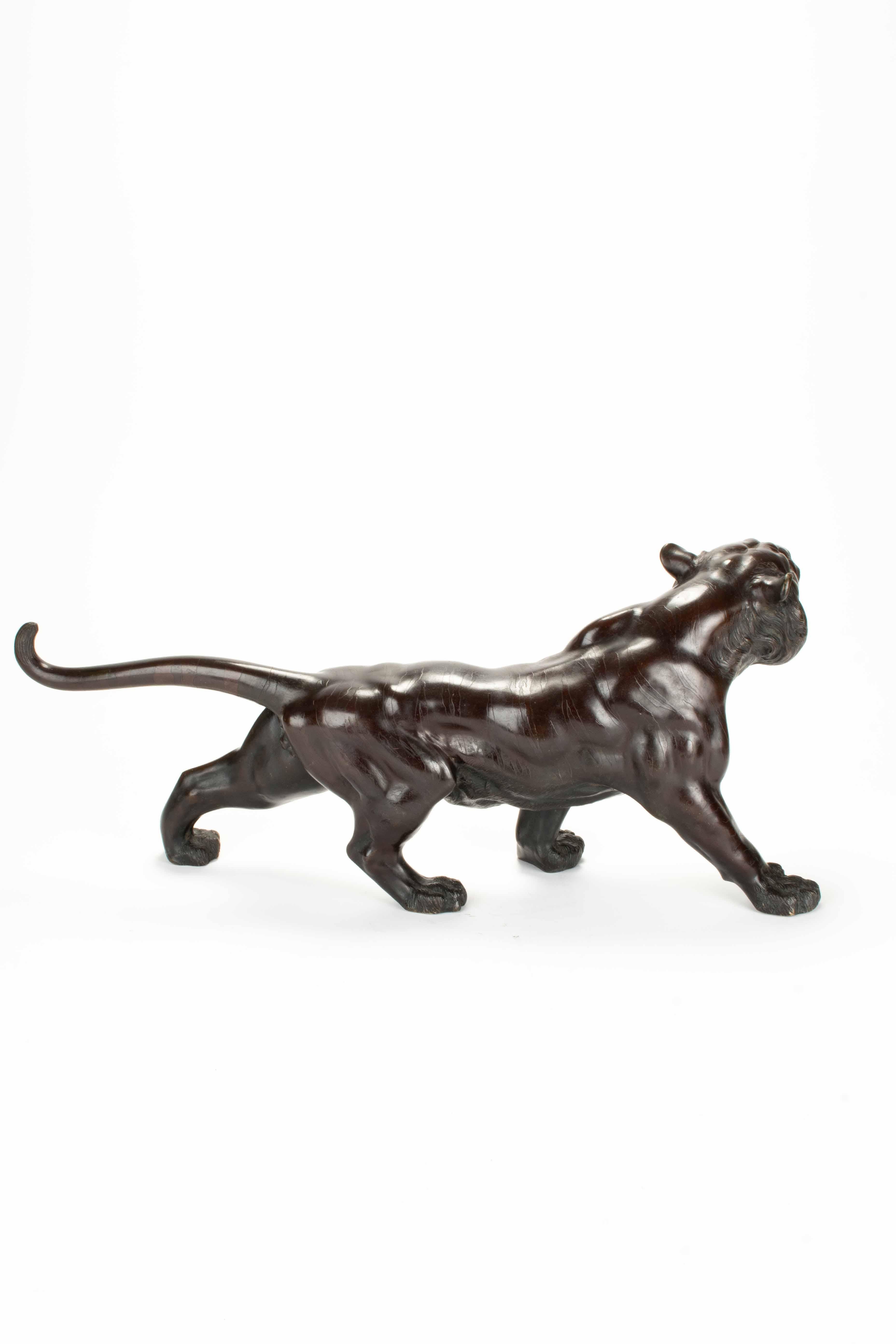XIX secolo Scultura in bronzo patinato raffigurante lo studio di una potente tigre ruggente in vendita