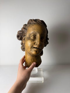Scultura lignea raffigurante testa di angelo - Genova (Italia) XVII secolo