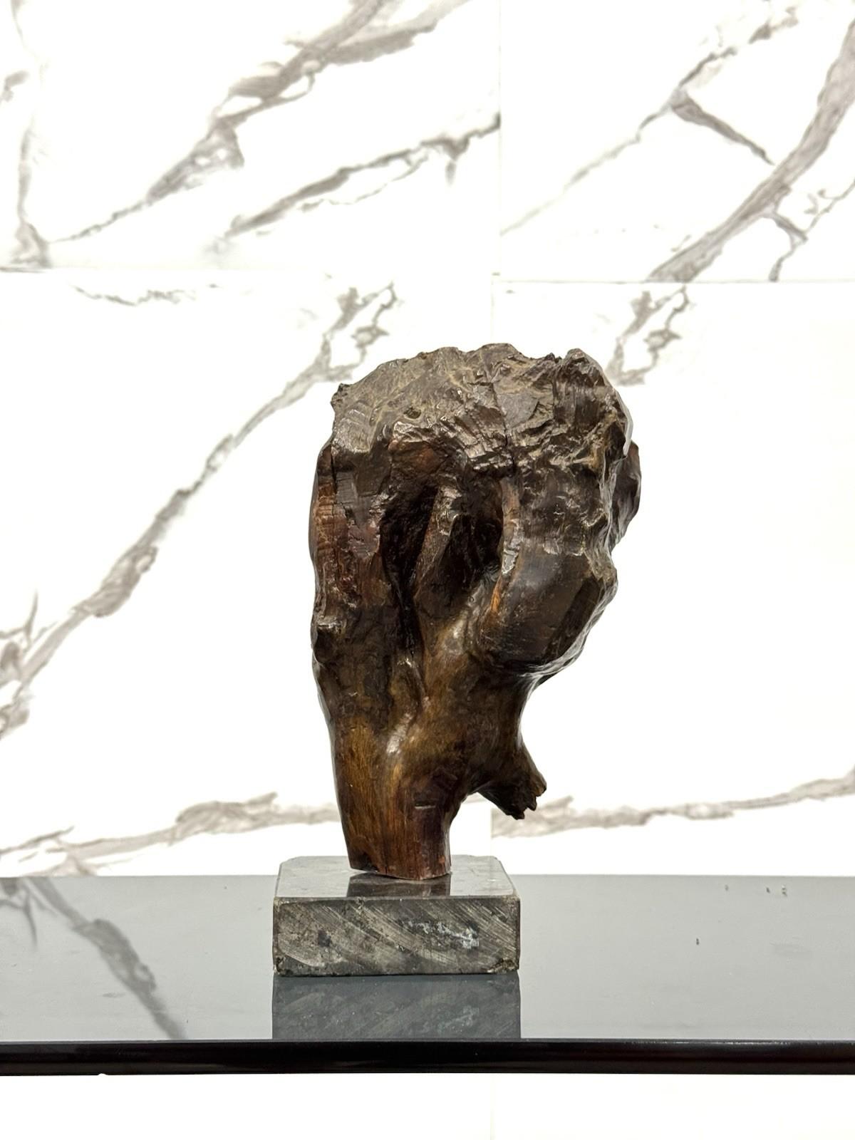 Scultura Volto Scolpito Liliana Casella Muratti Anni 70 Excellent état - En vente à Taranto, IT